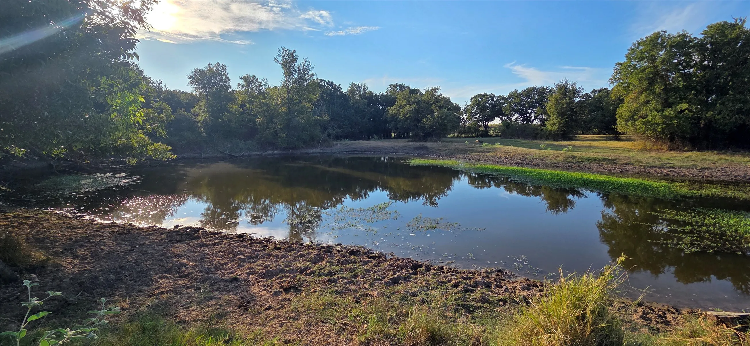Pond feature with surrounding natural landscape, mature trees, and natural ground cover