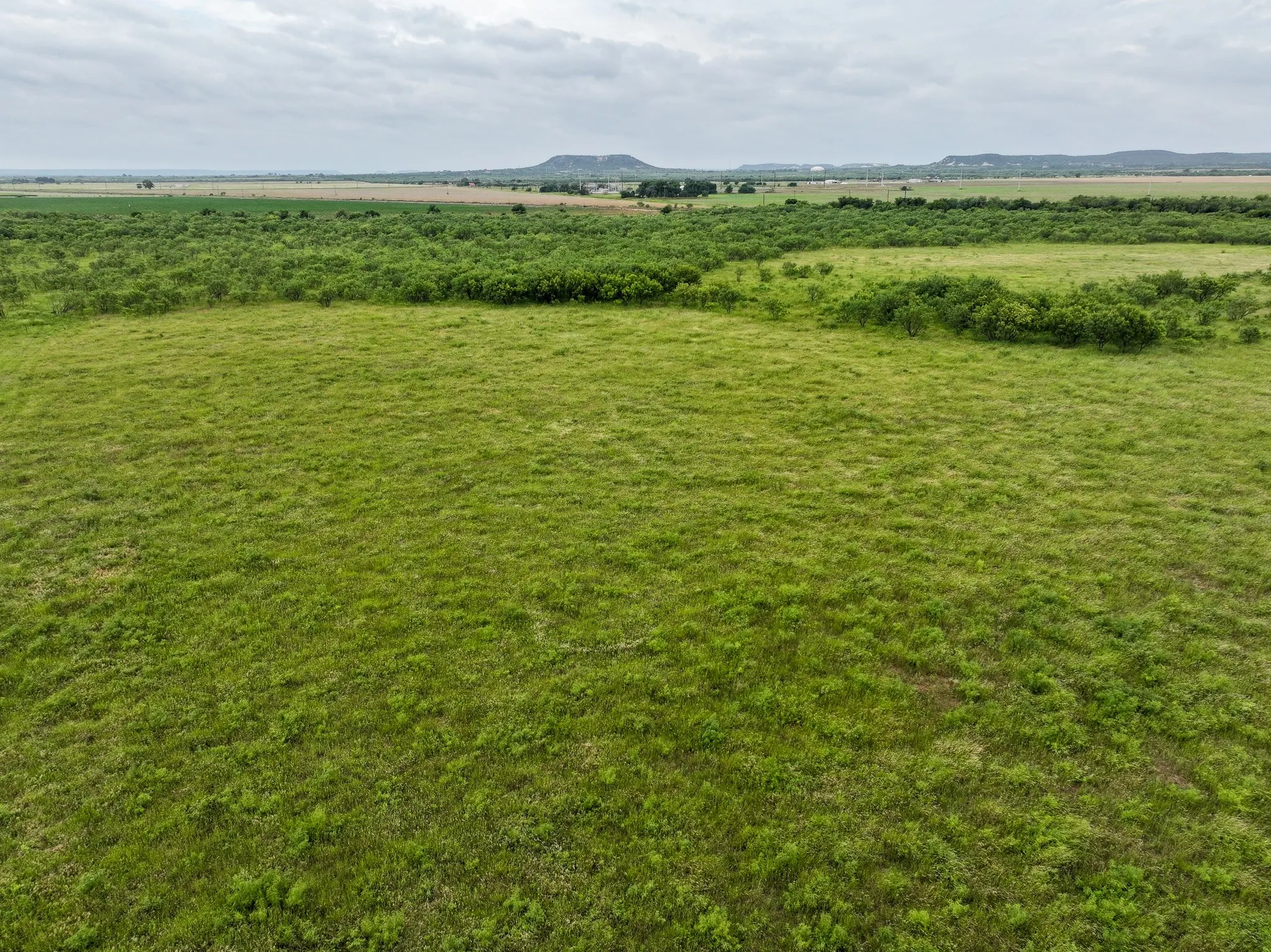 Unimproved Land For Sale in Taylor County , 170 Badger Den, Tuscola, Texas 79562, 0, 0, Garage spaces, 0 Sqft, built in 0, mls#21394138, Real Estate Agent in Tuscola, Homes For Sale in Taylor county, Homes For Sale in Tuscola, Realtor in Tuscola Texas, Real Estate Brokerage Independent Realty Texas, Luminita Cordes Realtor