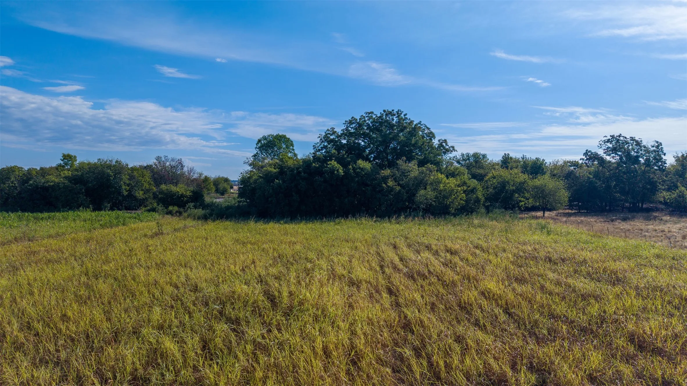 Unimproved Land For Sale in Johnson County , 4401 Fox Street, Cleburne, Texas 76033, 0, 0, Garage spaces, 0 Sqft, built in 0, mls#21393426, Real Estate Agent in Cleburne, Homes For Sale in Johnson county, Homes For Sale in Cleburne, Realtor in Cleburne Texas, Real Estate Brokerage Independent Realty Texas, Luminita Cordes Realtor