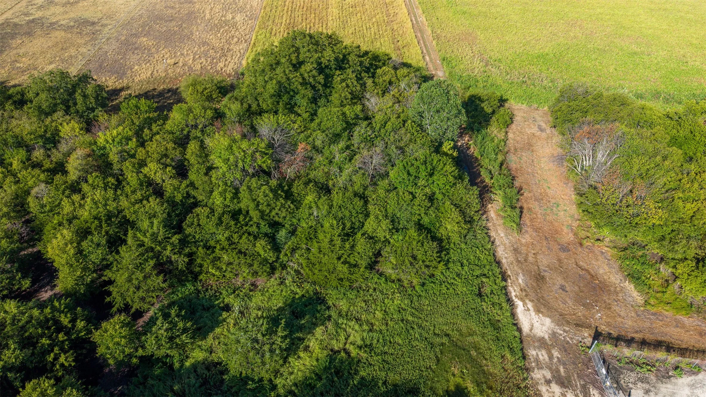 Unimproved Land For Sale in Johnson County , 4401 Fox Street, Cleburne, Texas 76033, 0, 0, Garage spaces, 0 Sqft, built in 0, mls#21393426, Real Estate Agent in Cleburne, Homes For Sale in Johnson county, Homes For Sale in Cleburne, Realtor in Cleburne Texas, Real Estate Brokerage Independent Realty Texas, Luminita Cordes Realtor