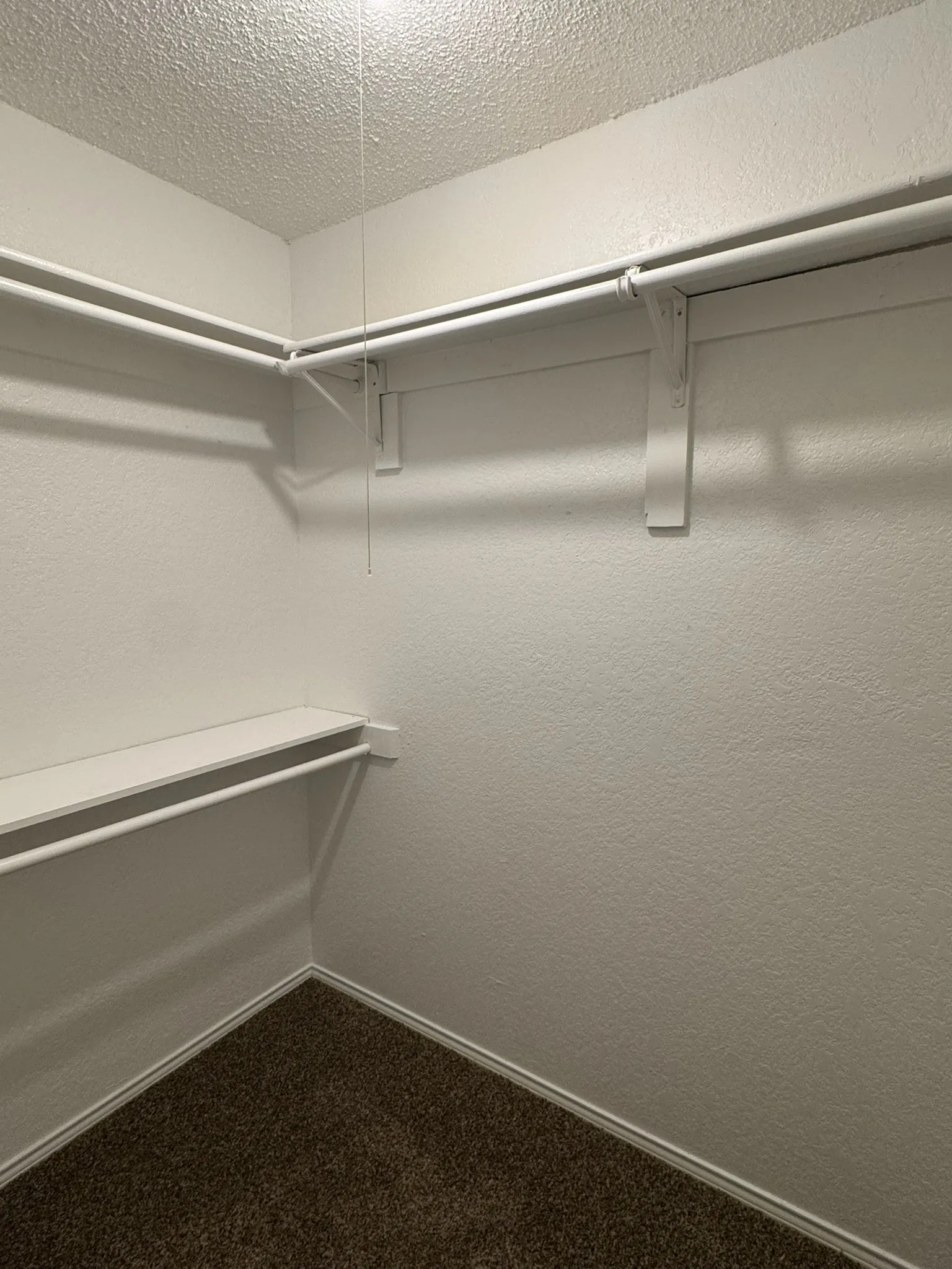 Corner closet with white walls, built-in shelving, and carpet flooring
