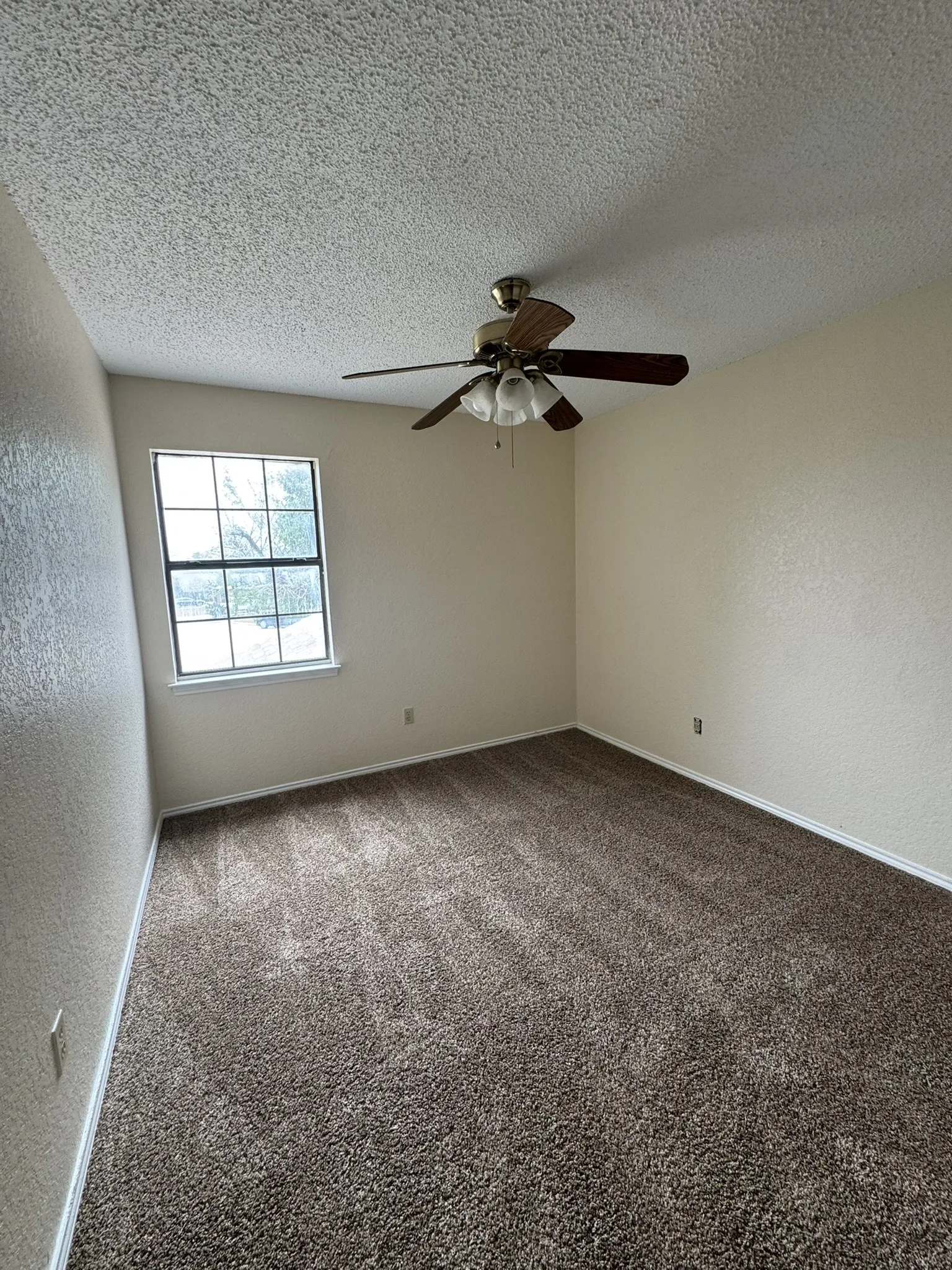 Textured wall finish, ceiling fan with integrated lighting, window with grid pattern, and neutral tone carpeting