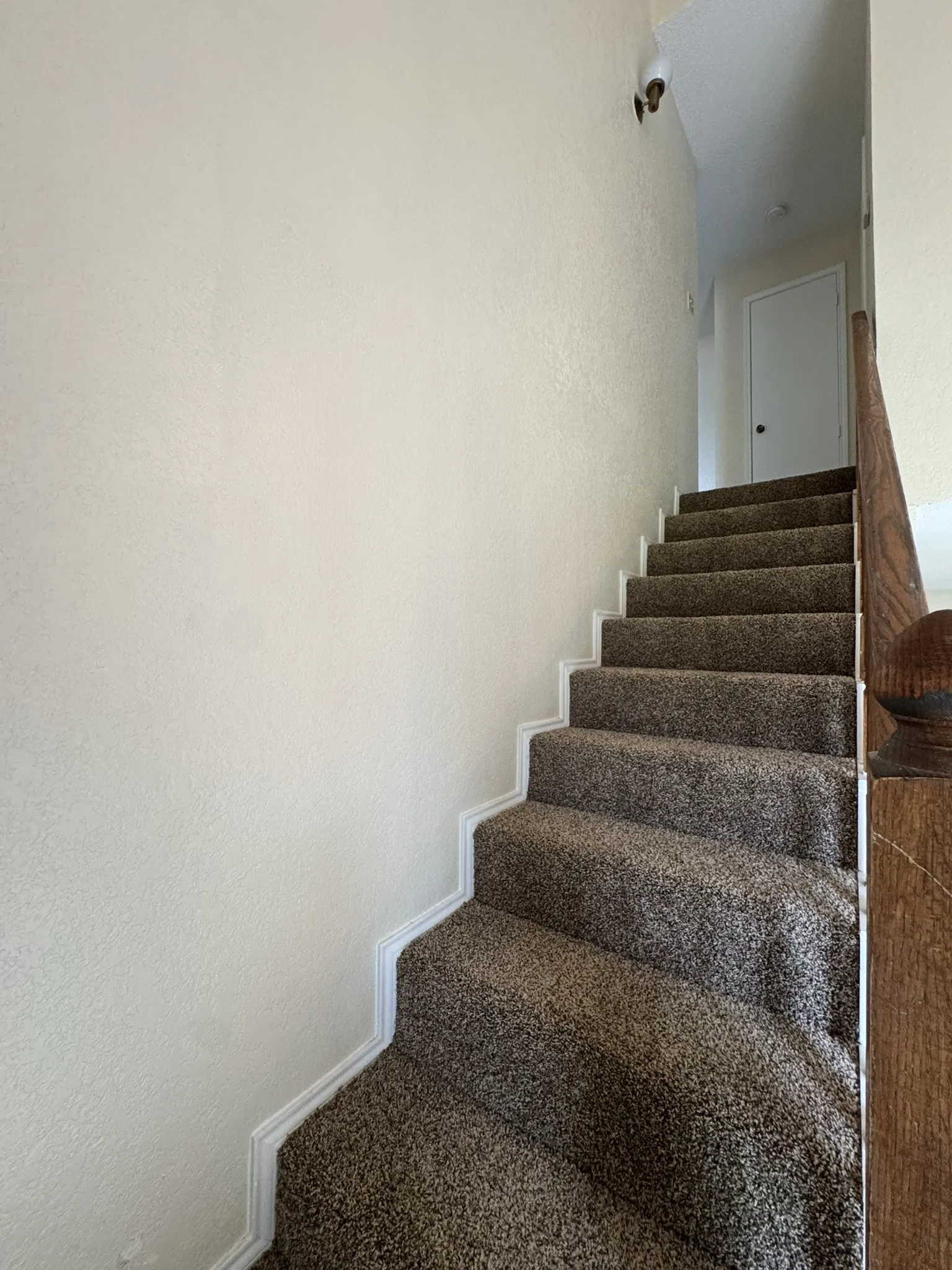 Carpeted staircase featuring a wood-finish handrail and white trim details