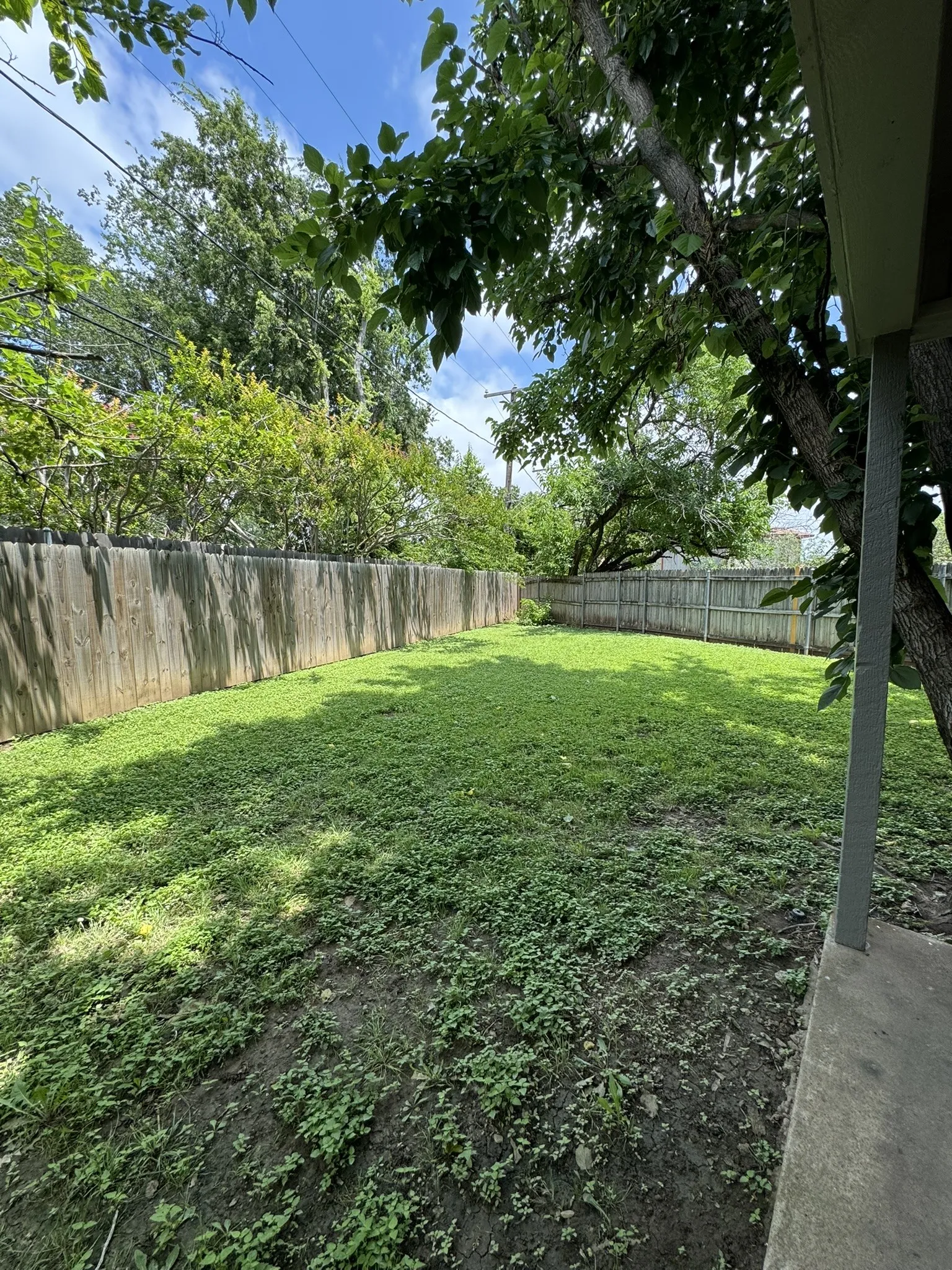Expansive backyard with a wooden fence boundary and mature trees