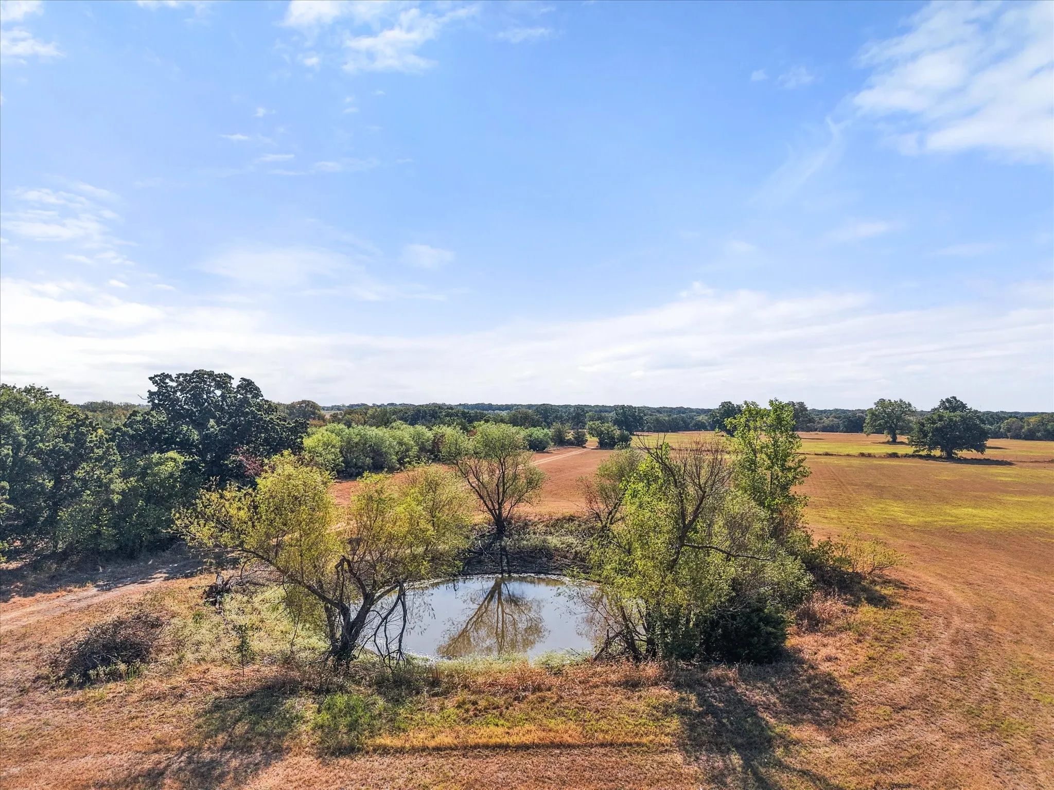 Mobile Home For Sale in Navarro County , 14181 Fm 639, Barry, Texas 75102, 3 Bedroom, 2 Bathroom, Garage spaces, 1,680 Sqft, built in 2001, mls#21393232, Real Estate Agent in Barry, Homes For Sale in Navarro county, Homes For Sale in Barry, Realtor in Barry Texas, Real Estate Brokerage Independent Realty Texas, Luminita Cordes Realtor
