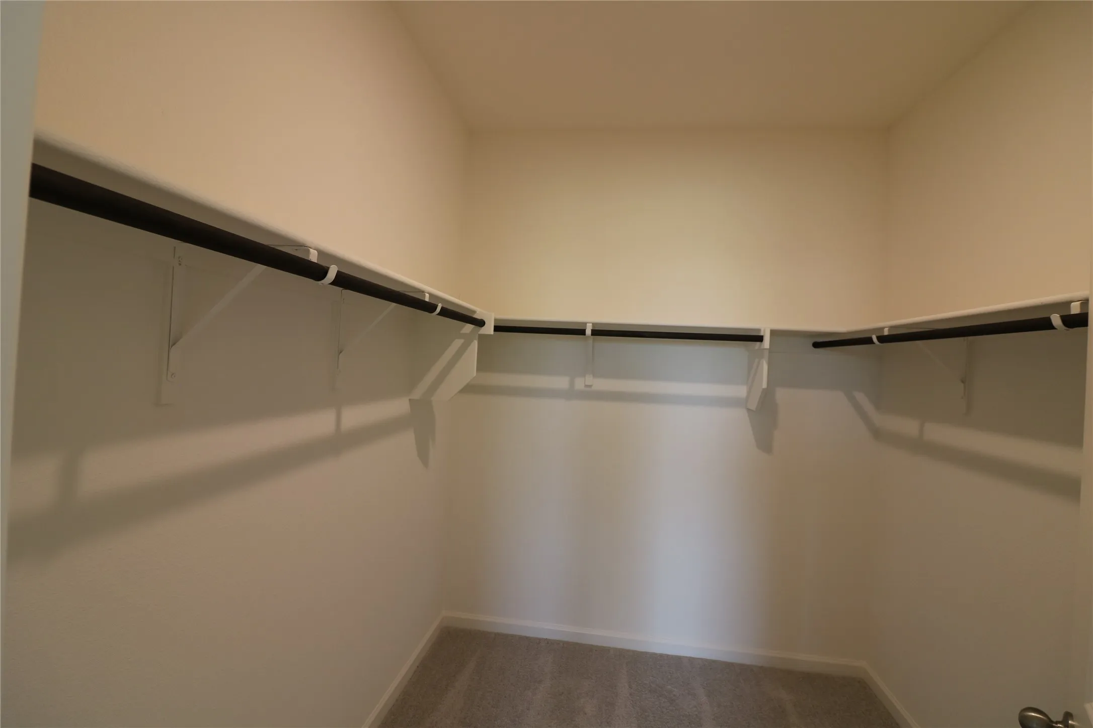 Expansive walk-in closet with neutral carpeting and ample shelving