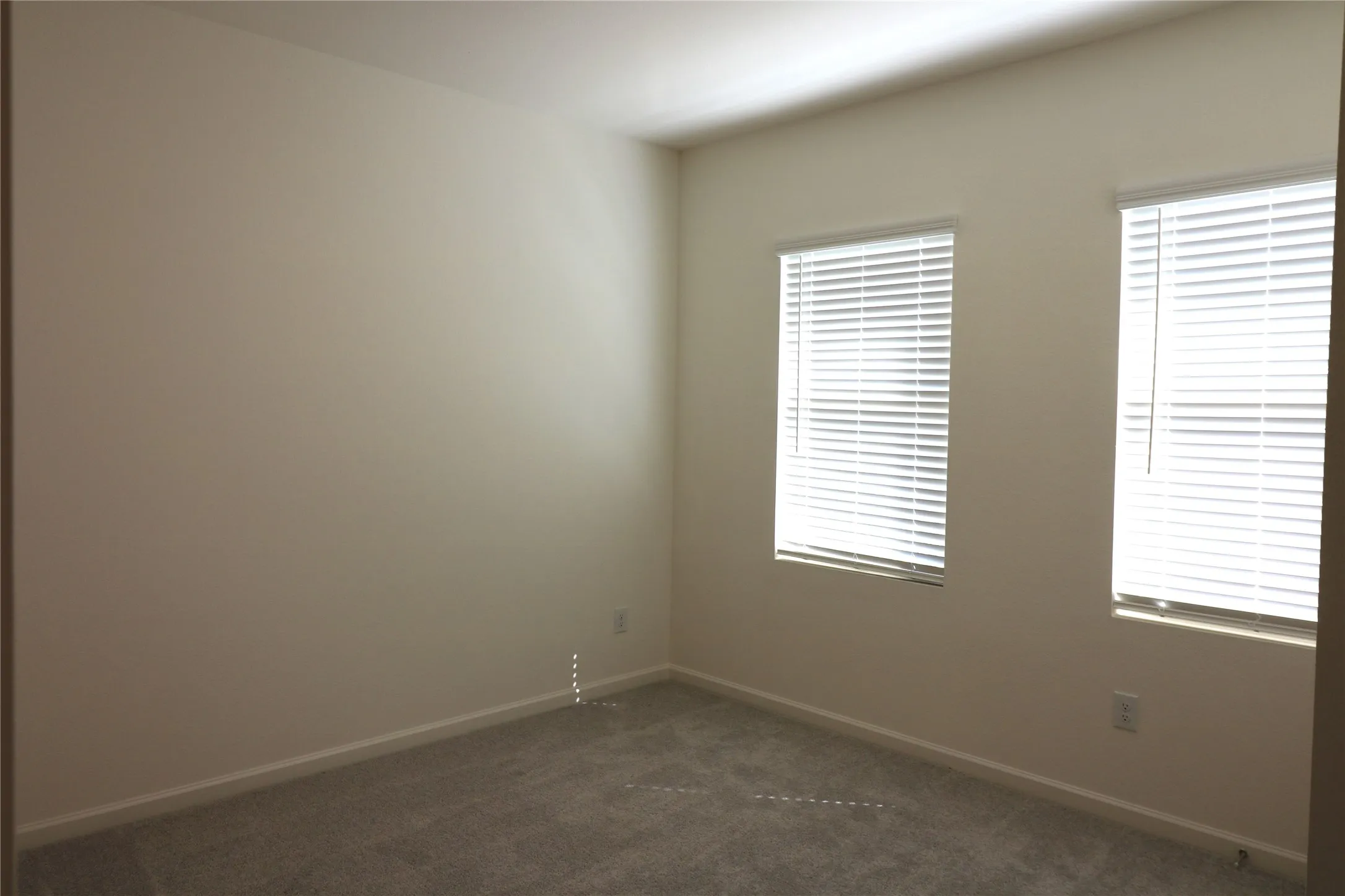 Neutral wall finishes, two windows with blinds, and carpeted flooring
