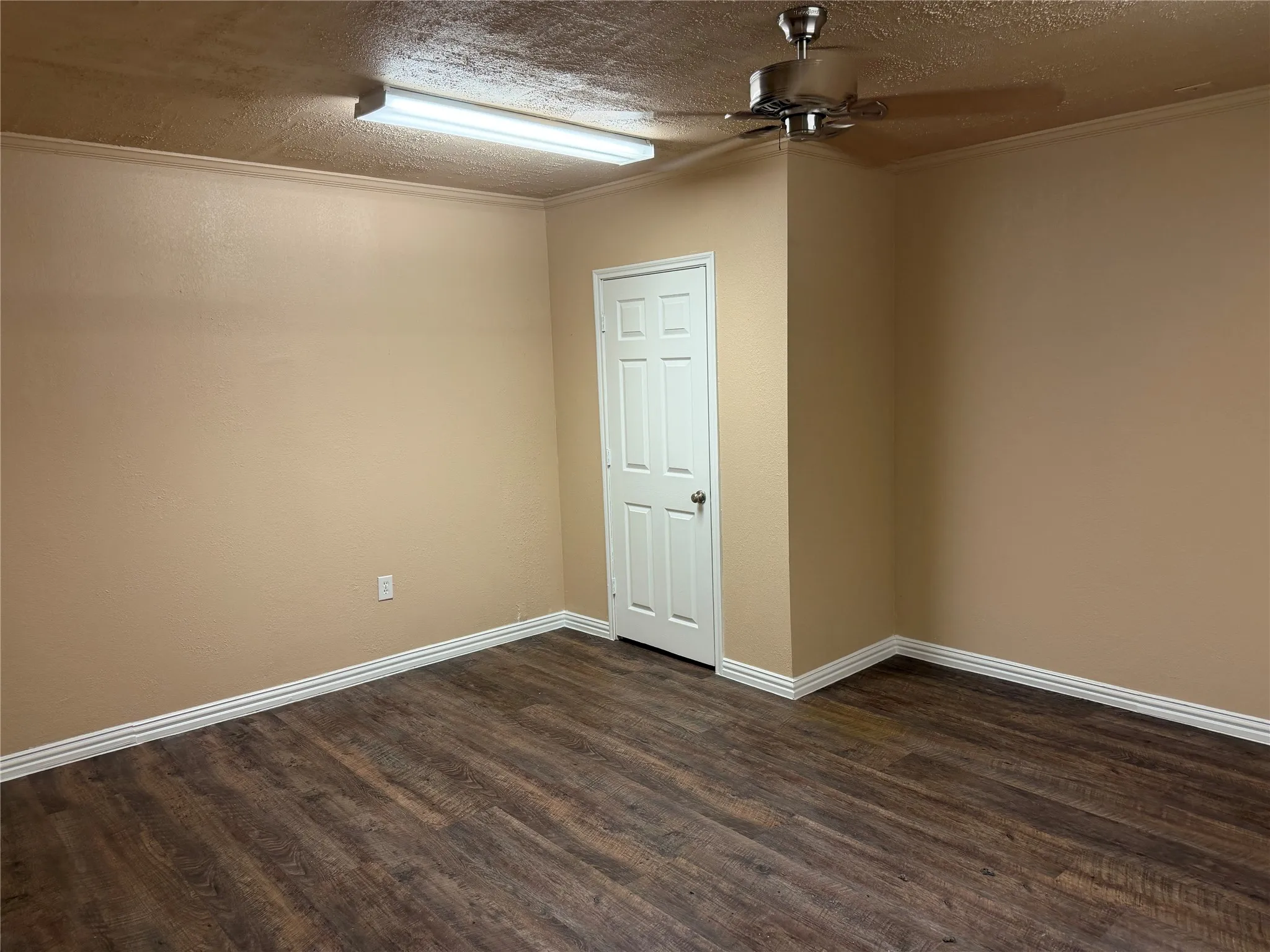 Wood-finish flooring, neutral wall paint, white trim, ceiling fan, and fluorescent lighting