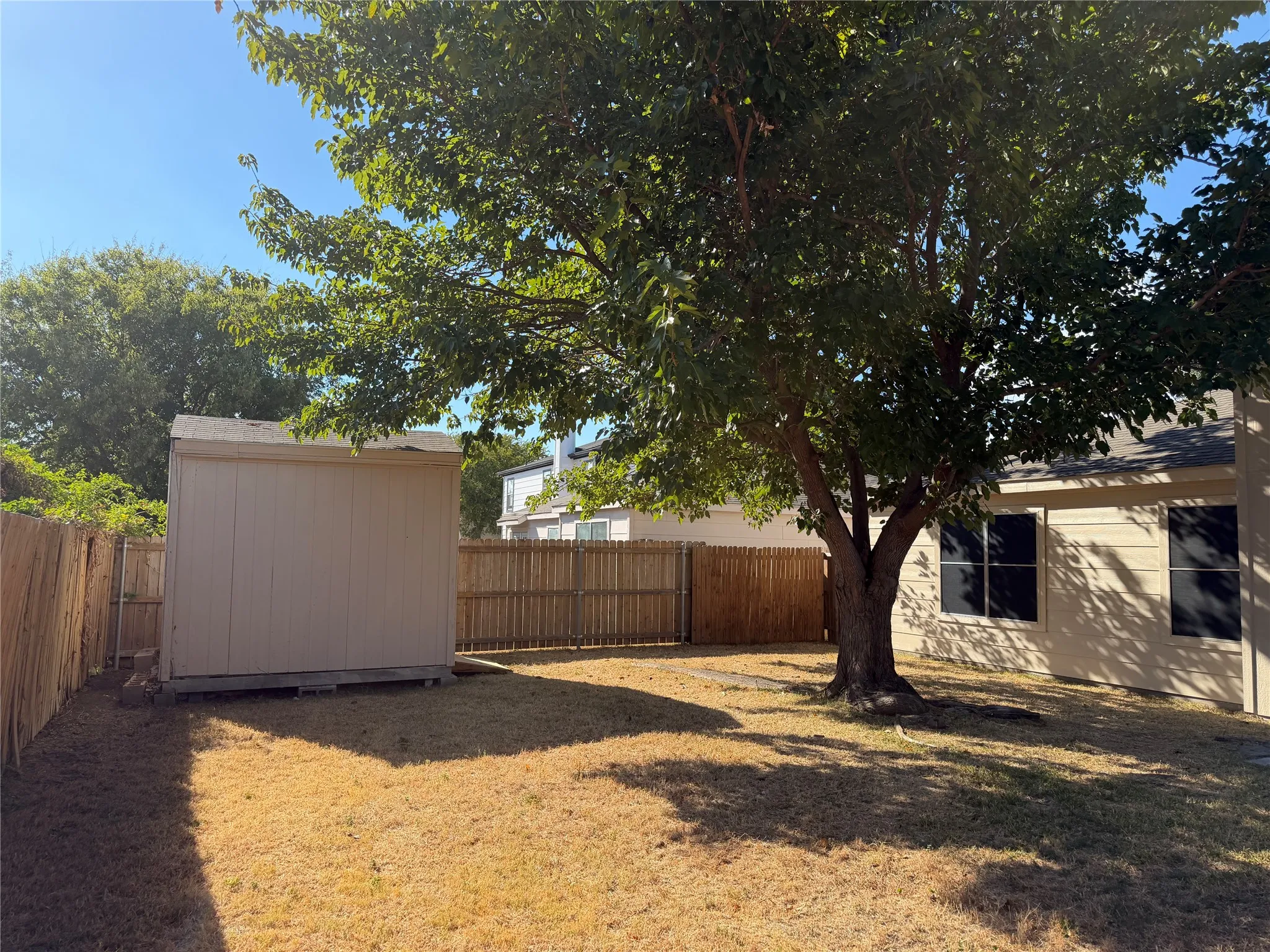 Fenced backyard featuring a mature shade tree, a separate storage shed, and a privacy fence