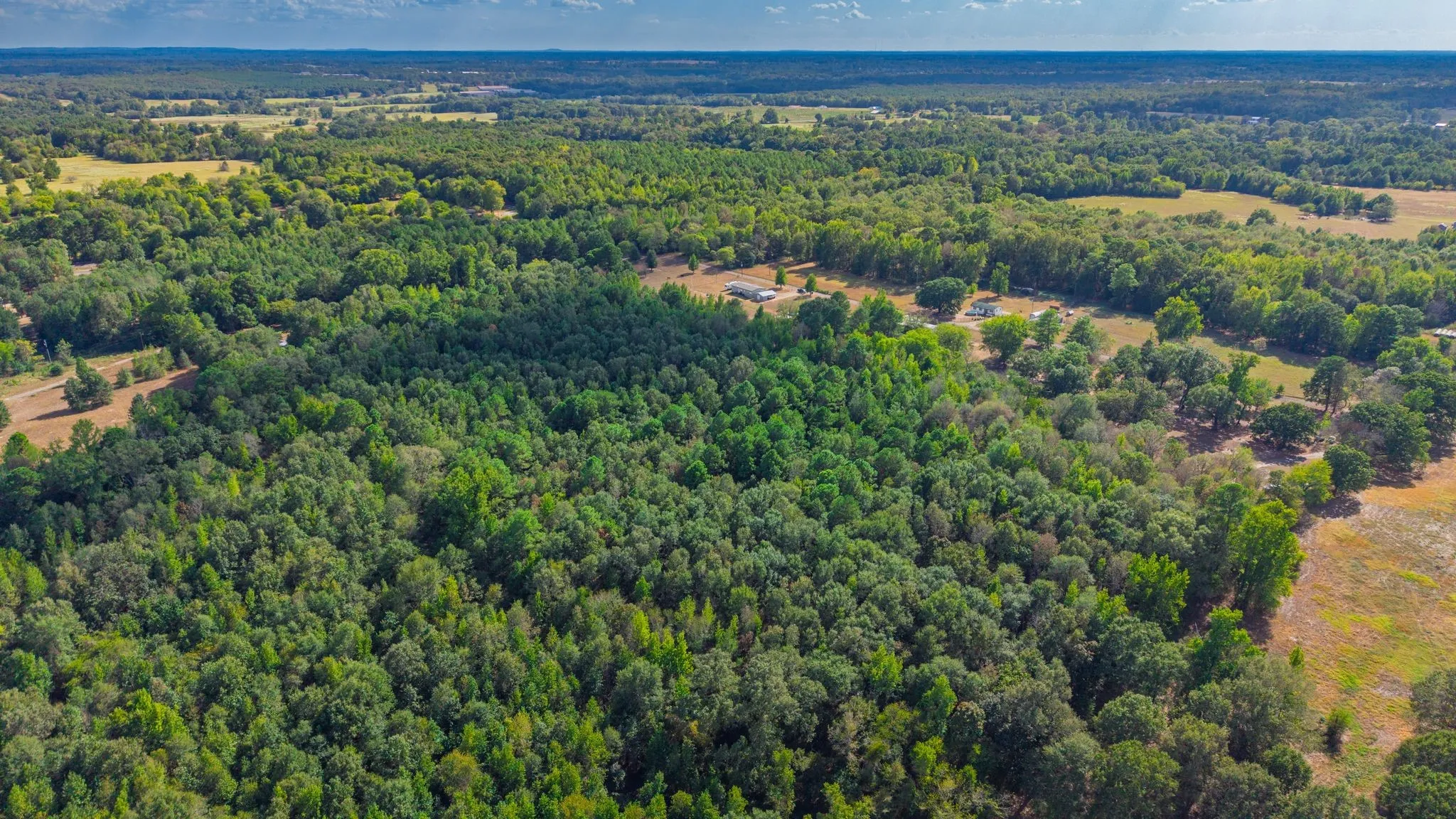 Unimproved Land For Sale in Camp County , 000 CR 4153, Pittsburg, Texas 75686, 0, 0, Garage spaces, 0 Sqft, built in 0, mls#21394243, Real Estate Agent in Pittsburg, Homes For Sale in Camp county, Homes For Sale in Pittsburg, Realtor in Pittsburg Texas, Real Estate Brokerage Independent Realty Texas, Luminita Cordes Realtor