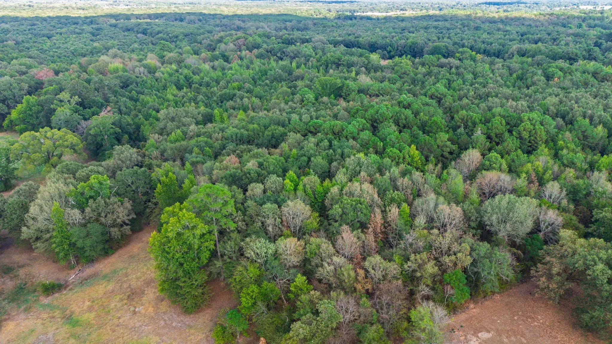Unimproved Land For Sale in Camp County , 000 CR 4153, Pittsburg, Texas 75686, 0, 0, Garage spaces, 0 Sqft, built in 0, mls#21394243, Real Estate Agent in Pittsburg, Homes For Sale in Camp county, Homes For Sale in Pittsburg, Realtor in Pittsburg Texas, Real Estate Brokerage Independent Realty Texas, Luminita Cordes Realtor