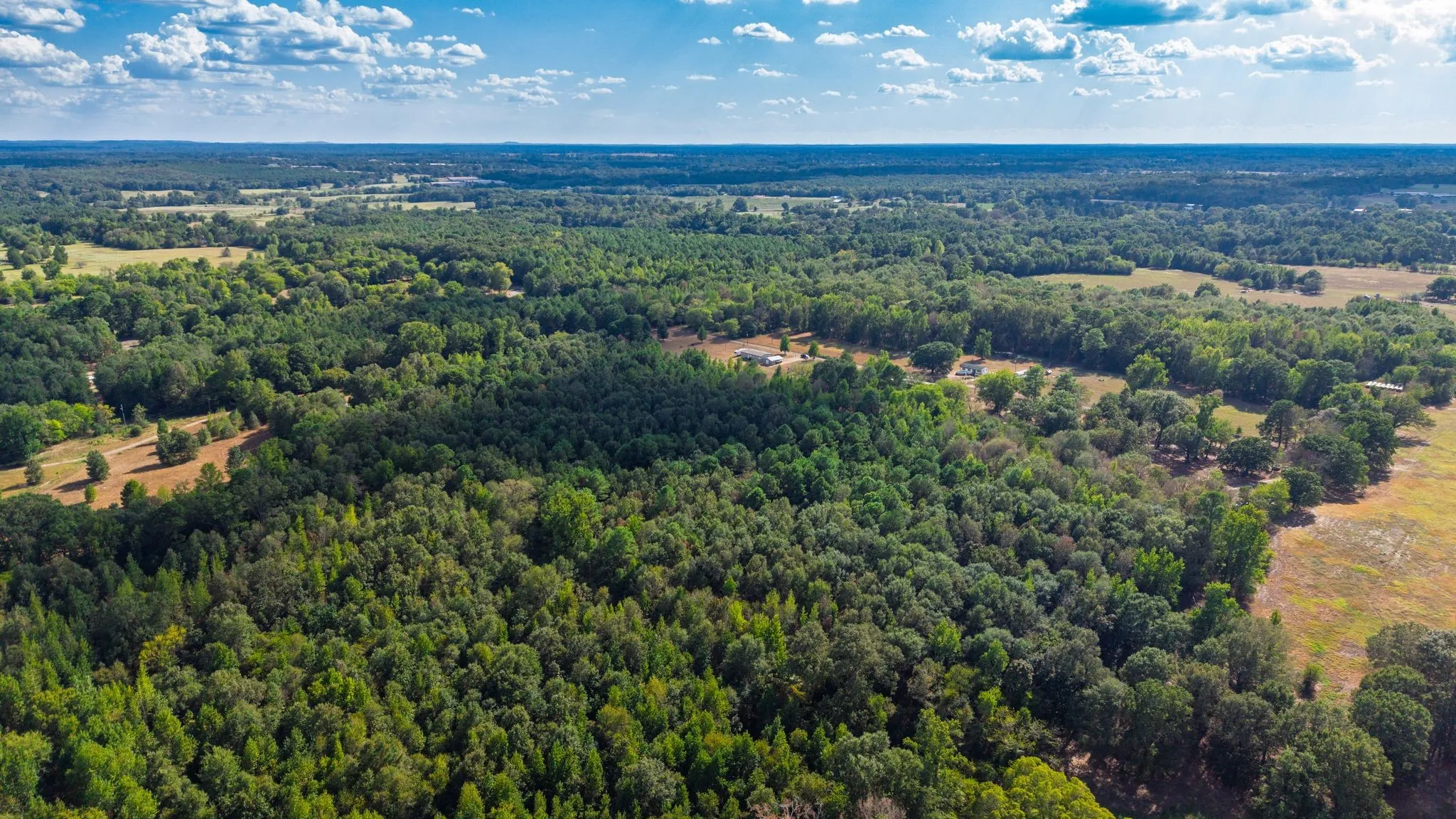 Unimproved Land For Sale in Camp County , 000 CR 4153, Pittsburg, Texas 75686, 0, 0, Garage spaces, 0 Sqft, built in 0, mls#21394243, Real Estate Agent in Pittsburg, Homes For Sale in Camp county, Homes For Sale in Pittsburg, Realtor in Pittsburg Texas, Real Estate Brokerage Independent Realty Texas, Luminita Cordes Realtor