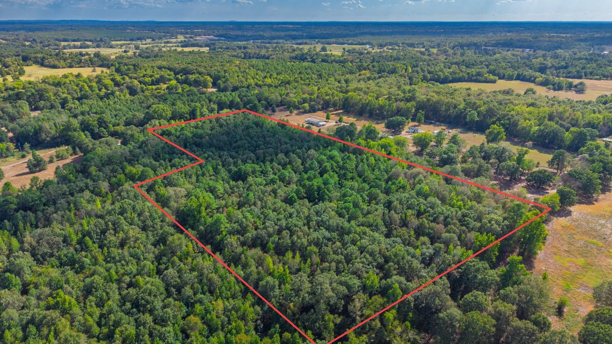 Unimproved Land For Sale in Camp County , 000 CR 4153, Pittsburg, Texas 75686, 0, 0, Garage spaces, 0 Sqft, built in 0, mls#21394243, Real Estate Agent in Pittsburg, Homes For Sale in Camp county, Homes For Sale in Pittsburg, Realtor in Pittsburg Texas, Real Estate Brokerage Independent Realty Texas, Luminita Cordes Realtor