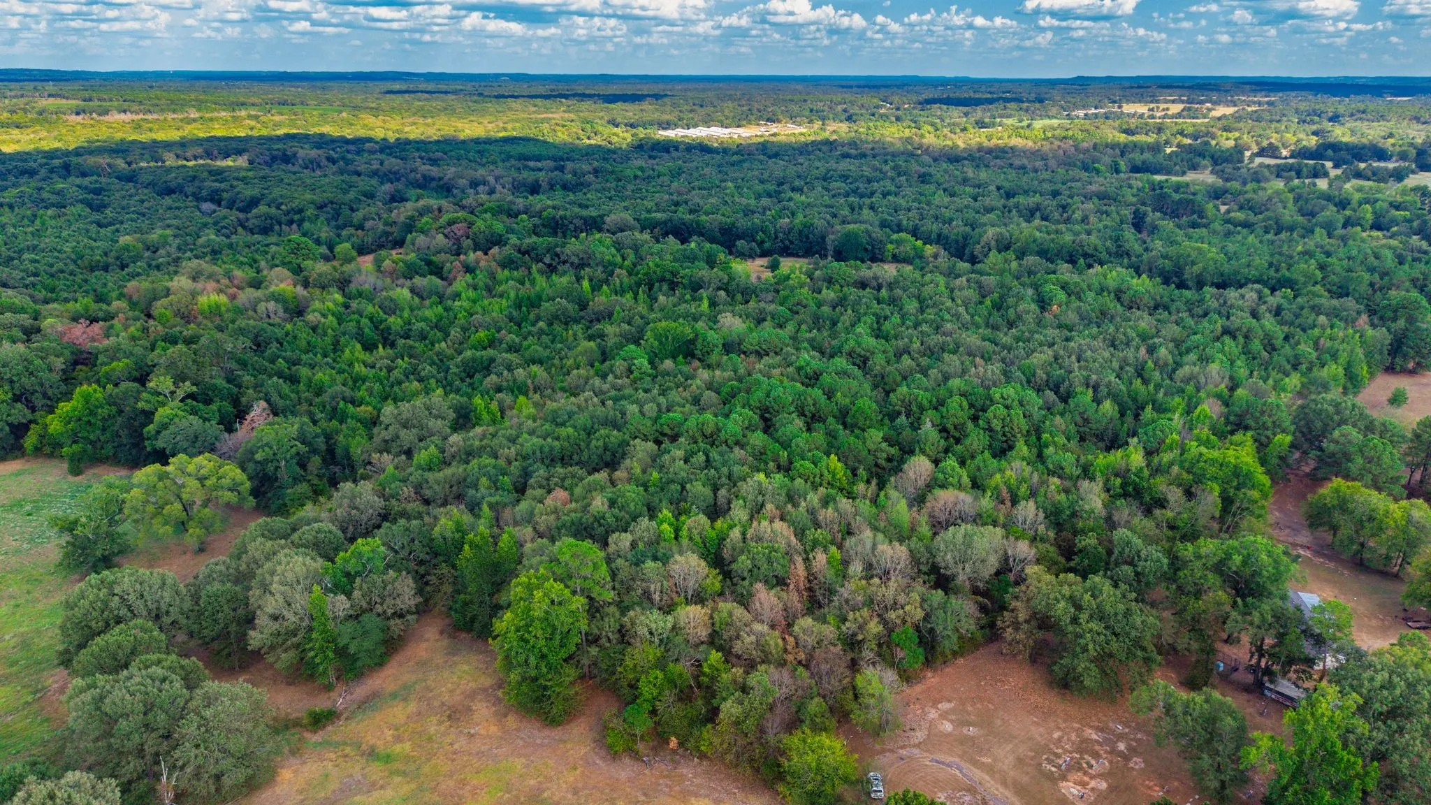 Unimproved Land For Sale in Camp County , 000 CR 4153, Pittsburg, Texas 75686, 0, 0, Garage spaces, 0 Sqft, built in 0, mls#21394243, Real Estate Agent in Pittsburg, Homes For Sale in Camp county, Homes For Sale in Pittsburg, Realtor in Pittsburg Texas, Real Estate Brokerage Independent Realty Texas, Luminita Cordes Realtor