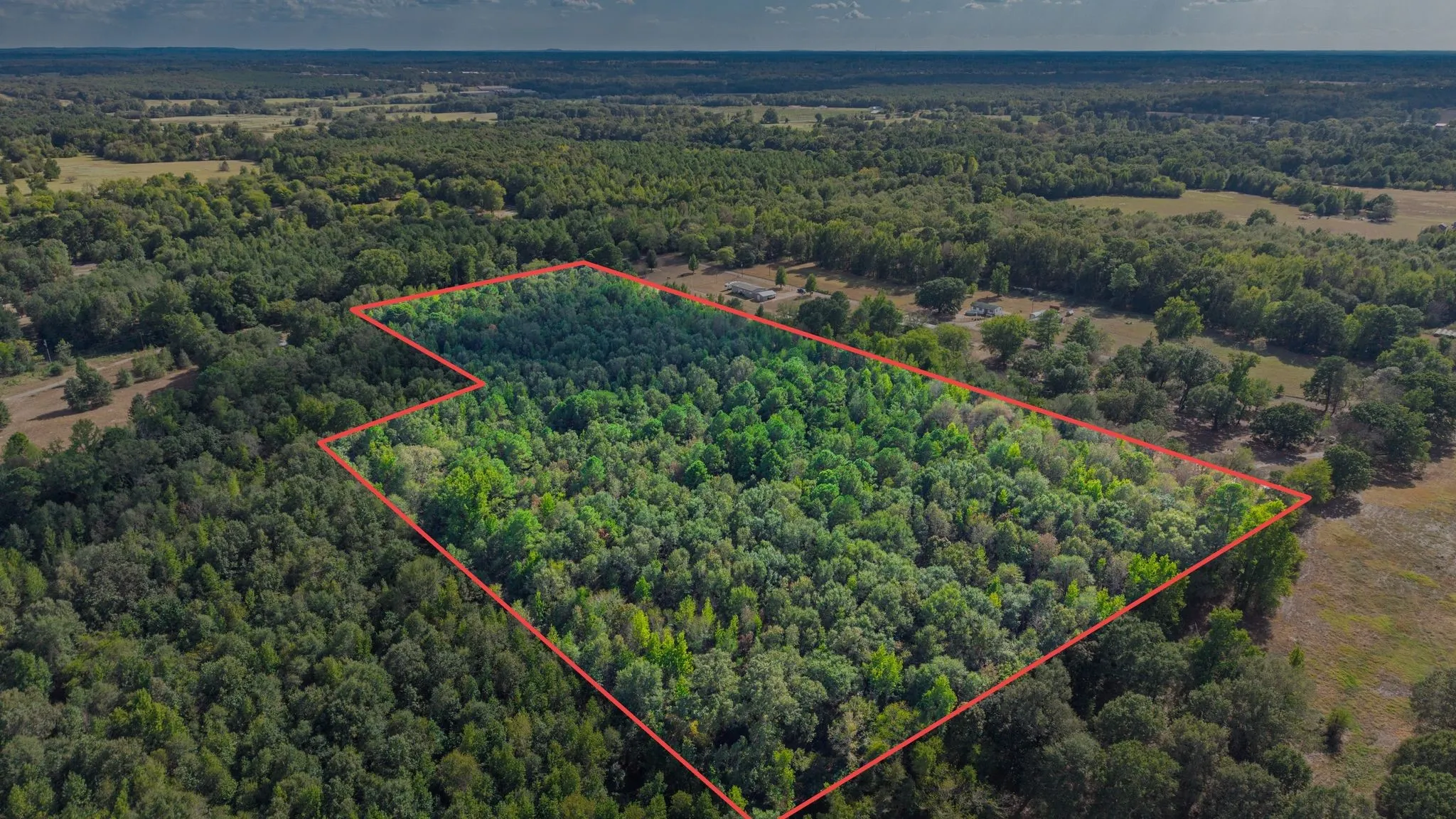 Unimproved Land For Sale in Camp County , 000 CR 4153, Pittsburg, Texas 75686, 0, 0, Garage spaces, 0 Sqft, built in 0, mls#21394243, Real Estate Agent in Pittsburg, Homes For Sale in Camp county, Homes For Sale in Pittsburg, Realtor in Pittsburg Texas, Real Estate Brokerage Independent Realty Texas, Luminita Cordes Realtor