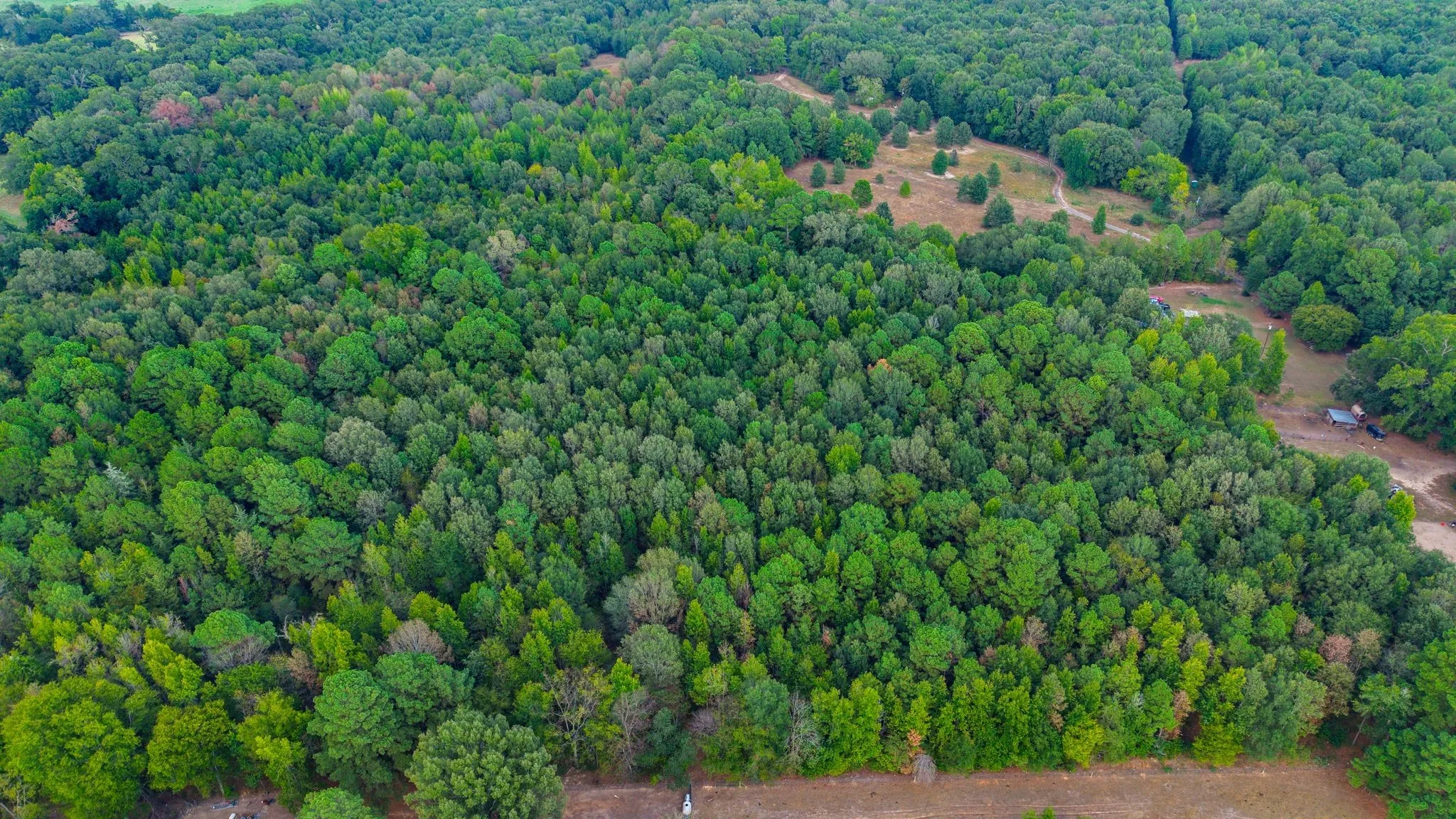 Unimproved Land For Sale in Camp County , 000 CR 4153, Pittsburg, Texas 75686, 0, 0, Garage spaces, 0 Sqft, built in 0, mls#21394243, Real Estate Agent in Pittsburg, Homes For Sale in Camp county, Homes For Sale in Pittsburg, Realtor in Pittsburg Texas, Real Estate Brokerage Independent Realty Texas, Luminita Cordes Realtor