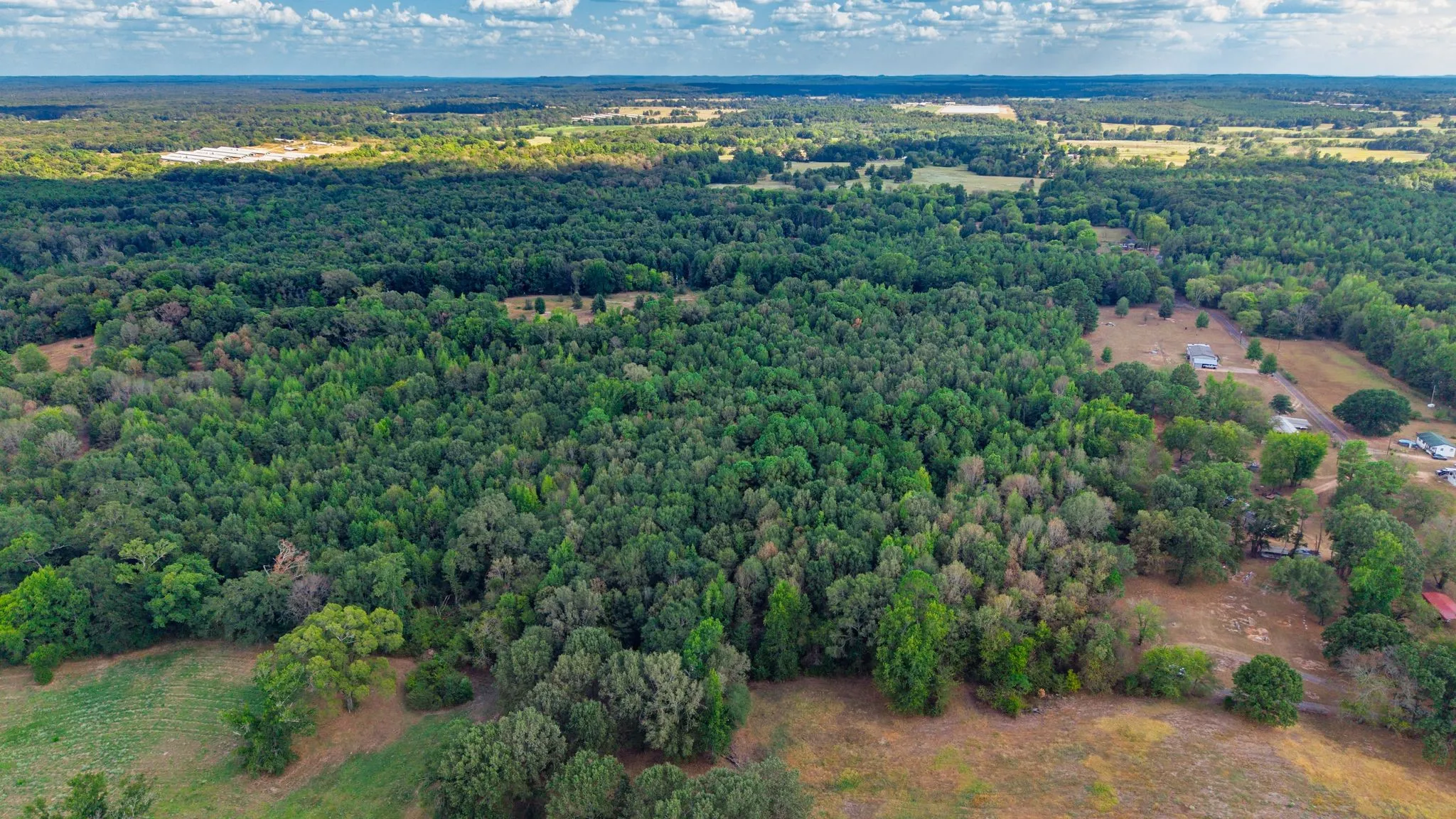 Unimproved Land For Sale in Camp County , 000 CR 4153, Pittsburg, Texas 75686, 0, 0, Garage spaces, 0 Sqft, built in 0, mls#21394243, Real Estate Agent in Pittsburg, Homes For Sale in Camp county, Homes For Sale in Pittsburg, Realtor in Pittsburg Texas, Real Estate Brokerage Independent Realty Texas, Luminita Cordes Realtor