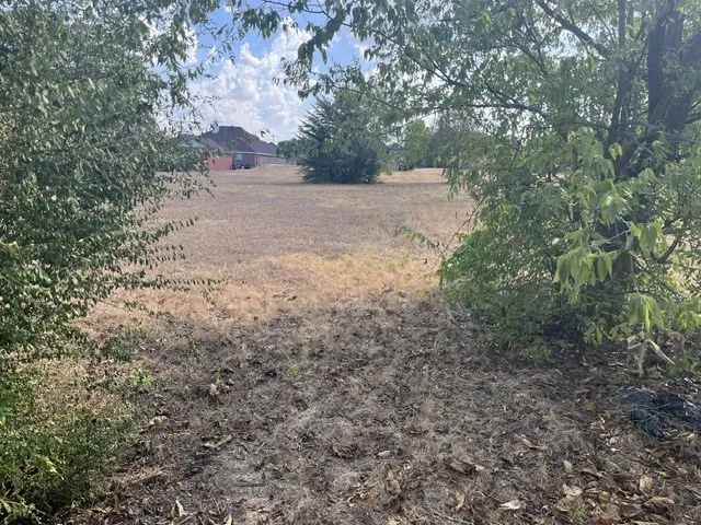 Expansive land parcel featuring existing trees
