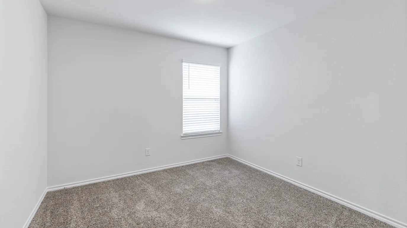 Neutral paint palette with a window featuring blinds and a carpeted floor