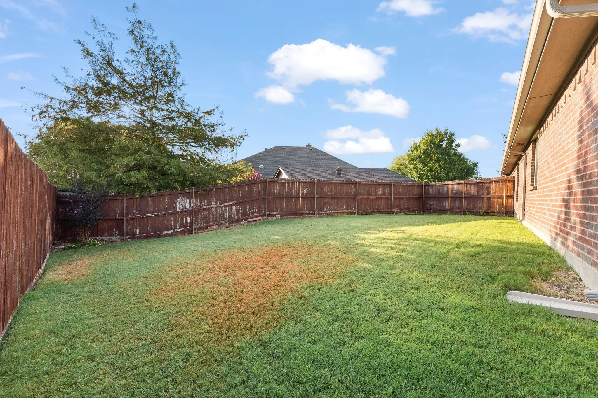 Check out this huge yard!