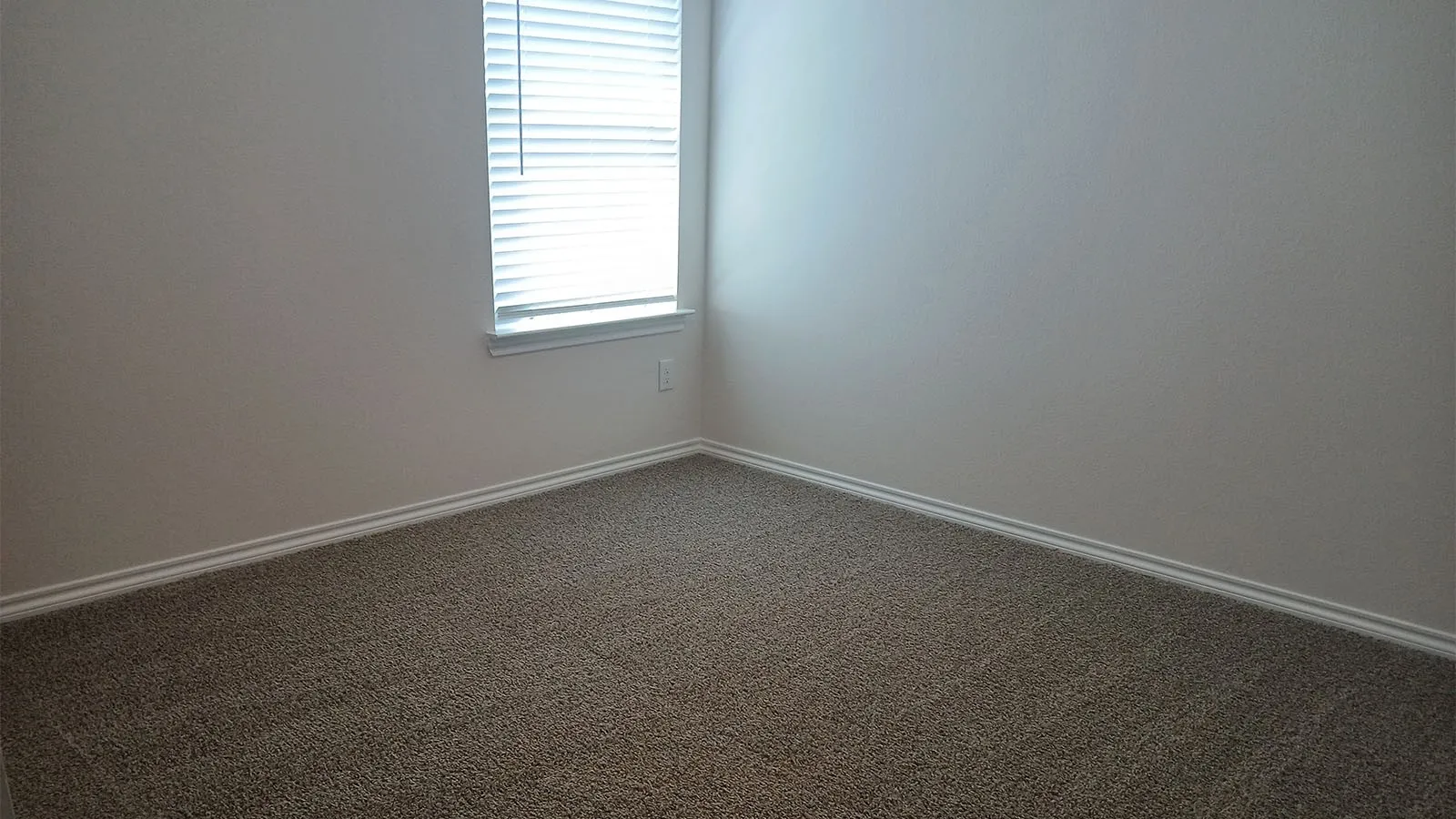 Neutral-toned walls with textured carpet flooring