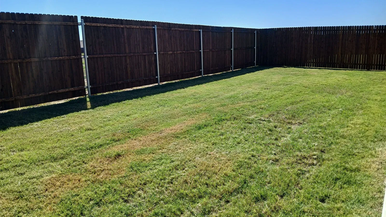 Expansive backyard featuring a stained wood privacy fence and a manicured lawn