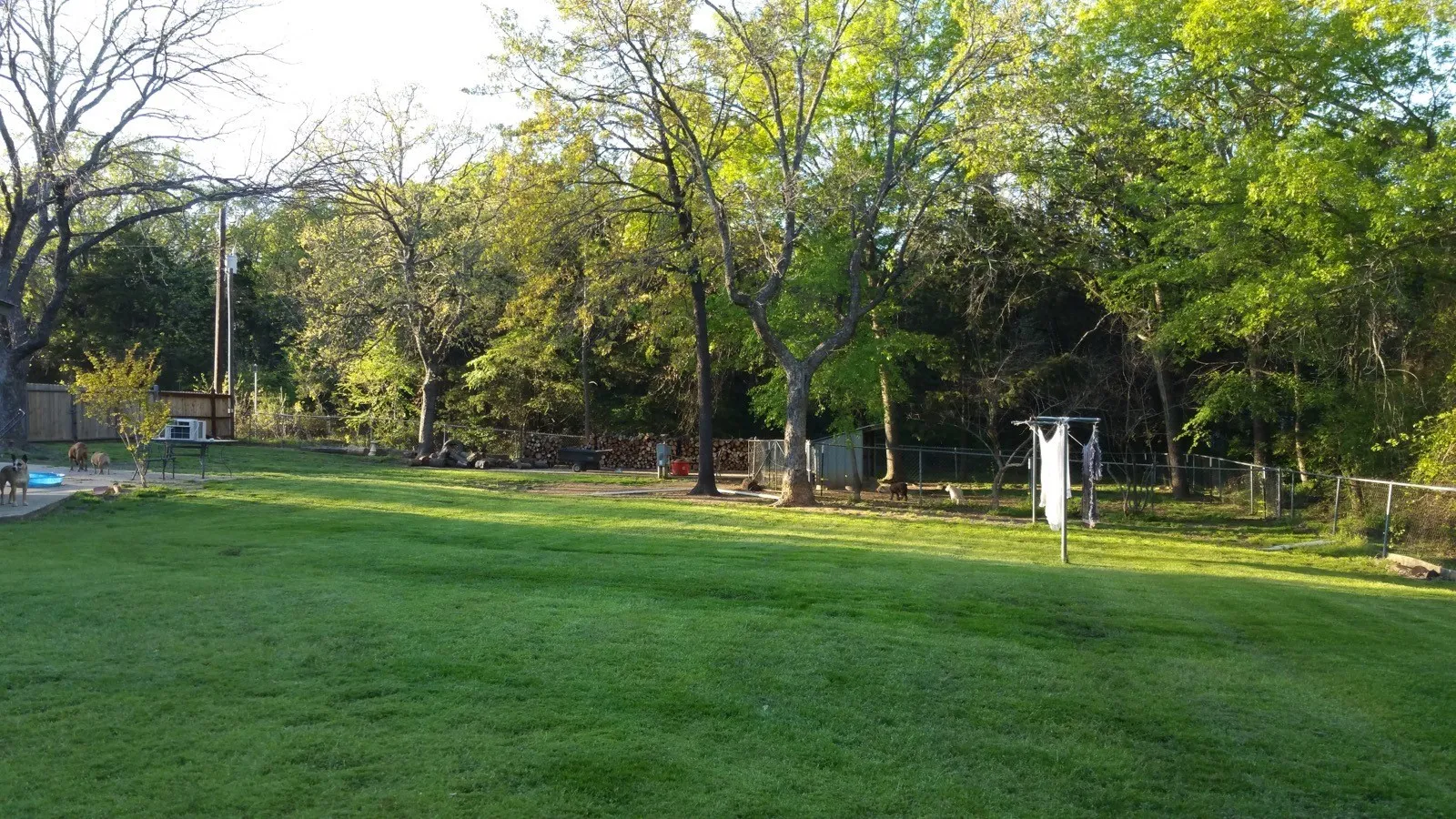 Single Family Residence For Sale in Grayson County , 135 Whitaker Circle, Gordonville, Texas 76245, 3 Bedroom, 2 Bathroom, Garage spaces, 2,500 Sqft, built in 1990, mls#21394259, Real Estate Agent in Gordonville, Homes For Sale in Grayson county, Homes For Sale in Gordonville, Realtor in Gordonville Texas, Real Estate Brokerage Independent Realty Texas, Luminita Cordes Realtor