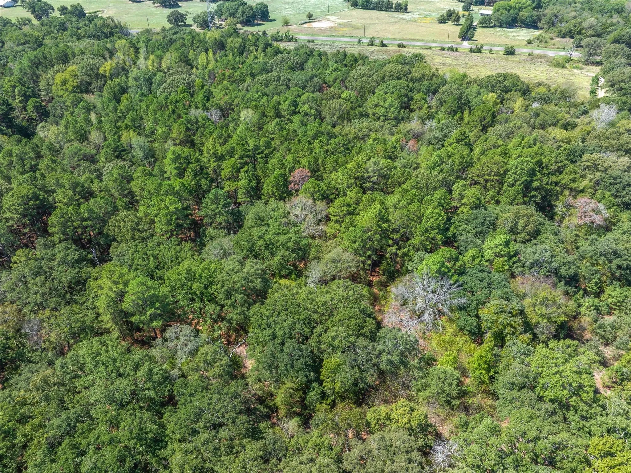 Unimproved Land For Sale in Van Zandt County , TBD County Road 8987, Ben Wheeler, Texas 75754, 0, 0, Garage spaces, 0 Sqft, built in 0, mls#21392229, Real Estate Agent in Ben Wheeler, Homes For Sale in Van Zandt county, Homes For Sale in Ben Wheeler, Realtor in Ben Wheeler Texas, Real Estate Brokerage Independent Realty Texas, Luminita Cordes Realtor