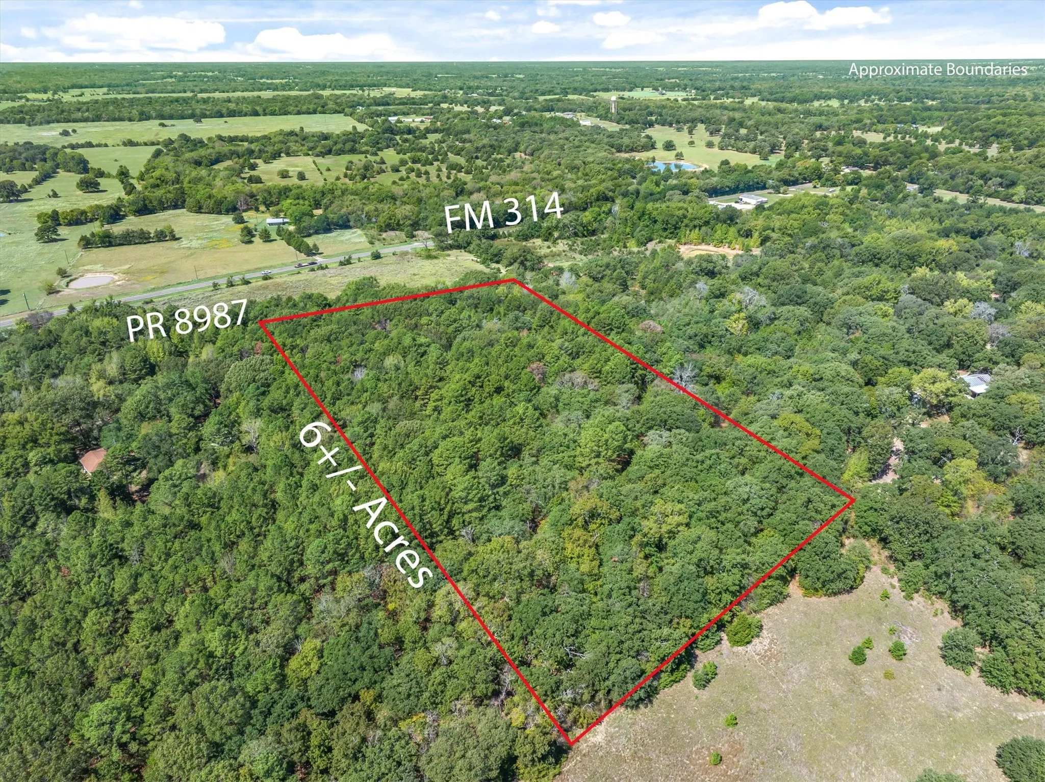 Unimproved Land For Sale in Van Zandt County , TBD County Road 8987, Ben Wheeler, Texas 75754, 0, 0, Garage spaces, 0 Sqft, built in 0, mls#21392229, Real Estate Agent in Ben Wheeler, Homes For Sale in Van Zandt county, Homes For Sale in Ben Wheeler, Realtor in Ben Wheeler Texas, Real Estate Brokerage Independent Realty Texas, Luminita Cordes Realtor