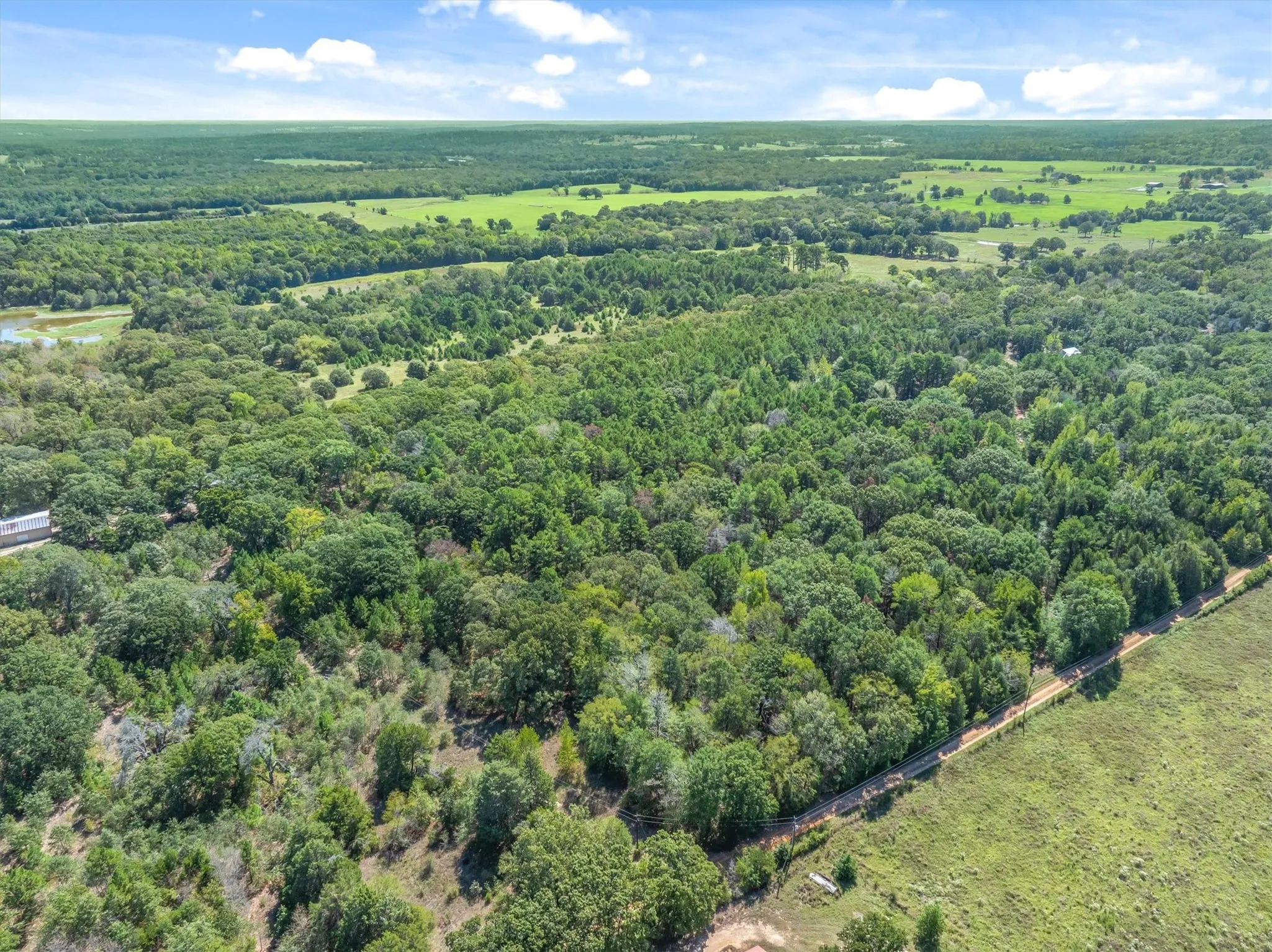 Unimproved Land For Sale in Van Zandt County , TBD County Road 8987, Ben Wheeler, Texas 75754, 0, 0, Garage spaces, 0 Sqft, built in 0, mls#21392229, Real Estate Agent in Ben Wheeler, Homes For Sale in Van Zandt county, Homes For Sale in Ben Wheeler, Realtor in Ben Wheeler Texas, Real Estate Brokerage Independent Realty Texas, Luminita Cordes Realtor