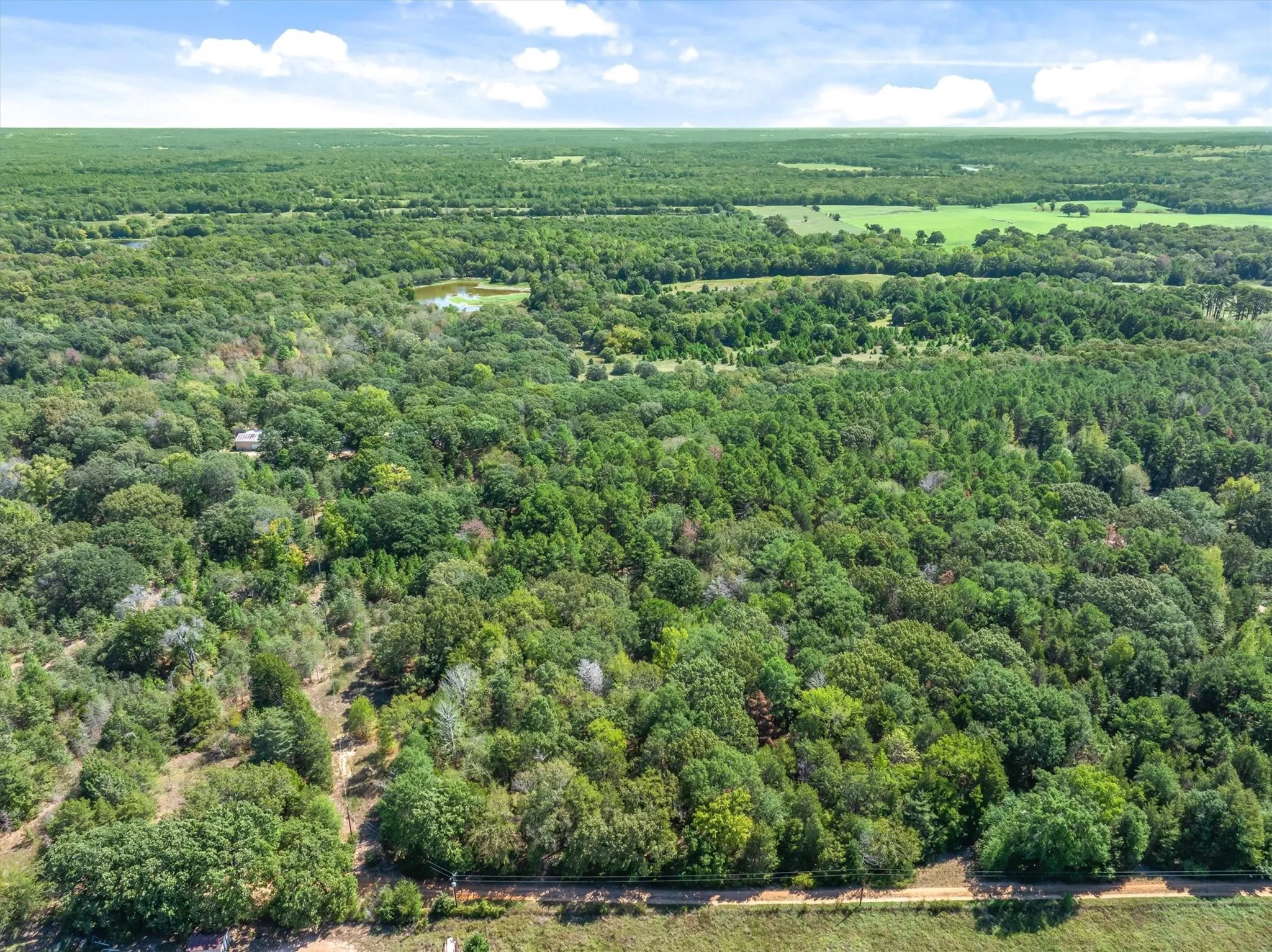 Unimproved Land For Sale in Van Zandt County , TBD County Road 8987, Ben Wheeler, Texas 75754, 0, 0, Garage spaces, 0 Sqft, built in 0, mls#21392229, Real Estate Agent in Ben Wheeler, Homes For Sale in Van Zandt county, Homes For Sale in Ben Wheeler, Realtor in Ben Wheeler Texas, Real Estate Brokerage Independent Realty Texas, Luminita Cordes Realtor