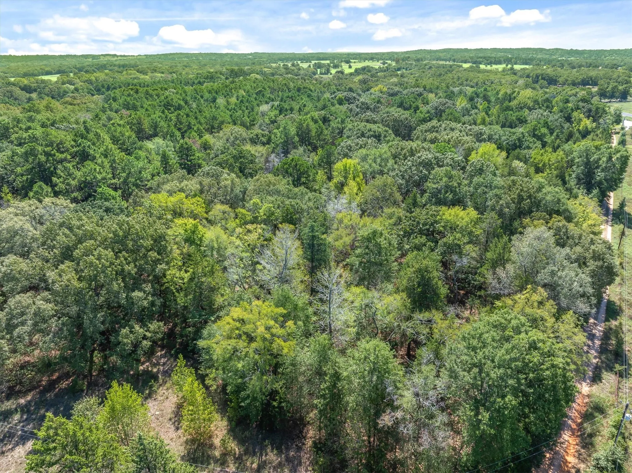 Unimproved Land For Sale in Van Zandt County , TBD County Road 8987, Ben Wheeler, Texas 75754, 0, 0, Garage spaces, 0 Sqft, built in 0, mls#21392229, Real Estate Agent in Ben Wheeler, Homes For Sale in Van Zandt county, Homes For Sale in Ben Wheeler, Realtor in Ben Wheeler Texas, Real Estate Brokerage Independent Realty Texas, Luminita Cordes Realtor