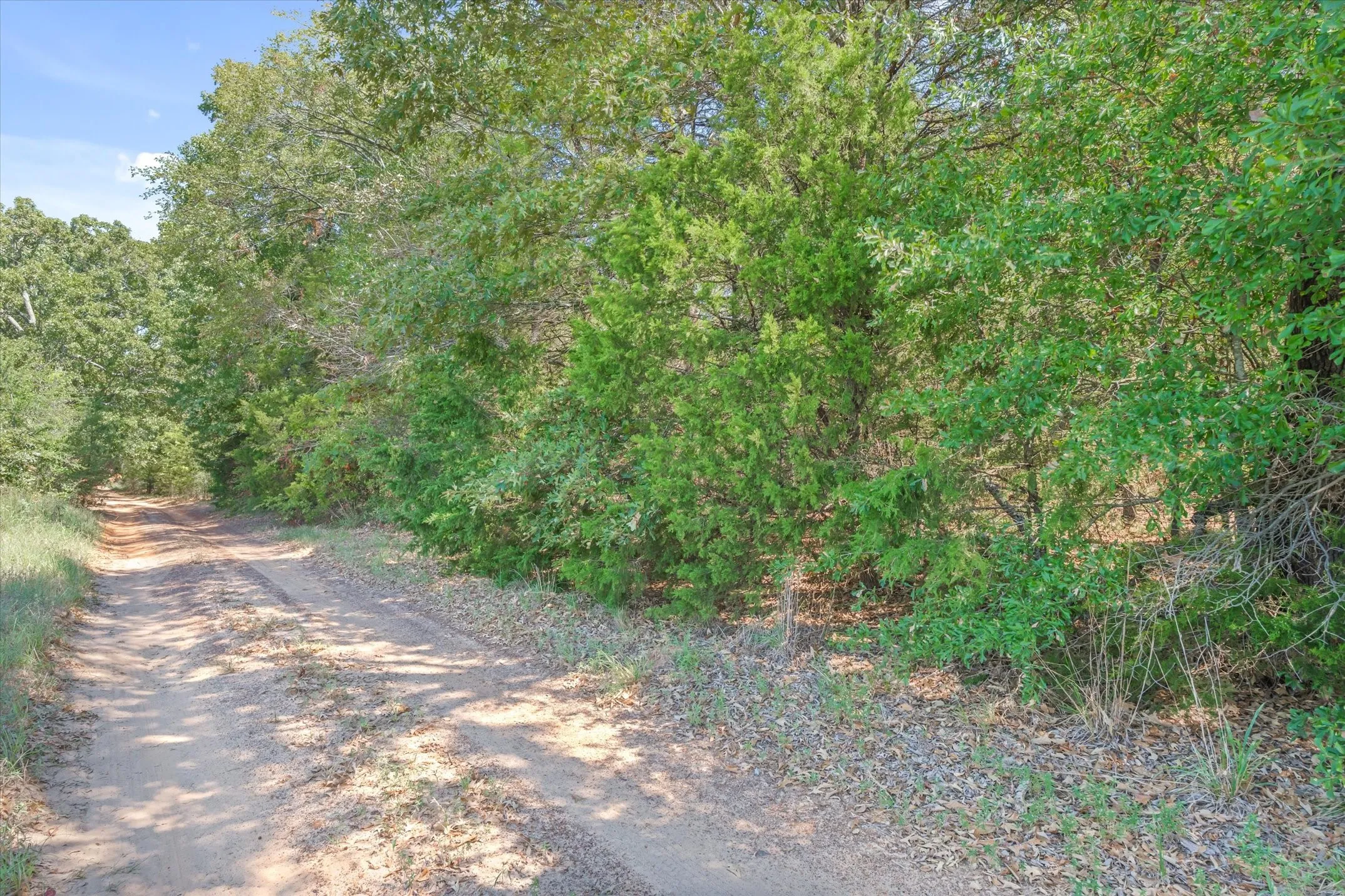 Unimproved Land For Sale in Van Zandt County , TBD County Road 8987, Ben Wheeler, Texas 75754, 0, 0, Garage spaces, 0 Sqft, built in 0, mls#21392229, Real Estate Agent in Ben Wheeler, Homes For Sale in Van Zandt county, Homes For Sale in Ben Wheeler, Realtor in Ben Wheeler Texas, Real Estate Brokerage Independent Realty Texas, Luminita Cordes Realtor