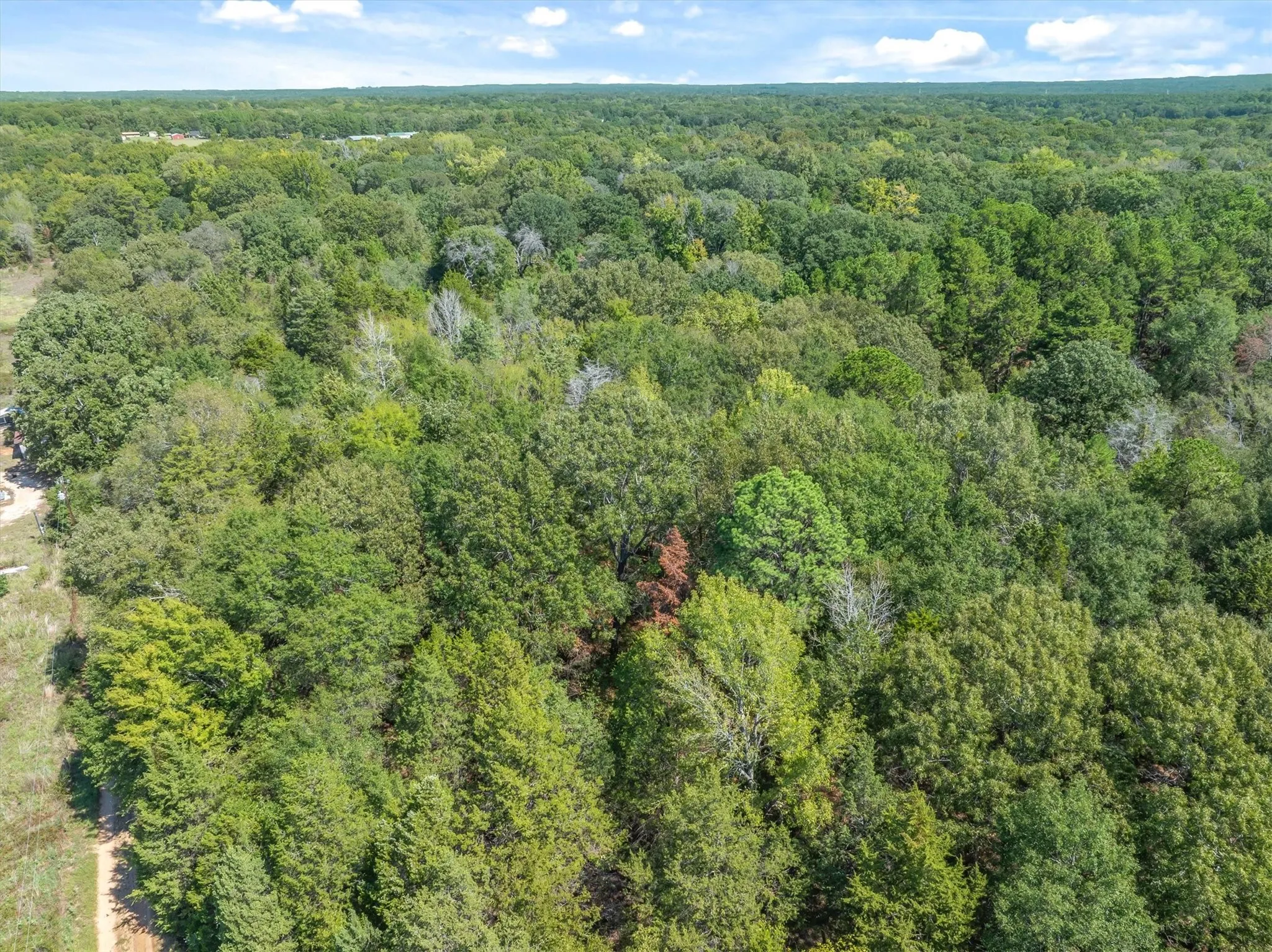 Unimproved Land For Sale in Van Zandt County , TBD County Road 8987, Ben Wheeler, Texas 75754, 0, 0, Garage spaces, 0 Sqft, built in 0, mls#21392229, Real Estate Agent in Ben Wheeler, Homes For Sale in Van Zandt county, Homes For Sale in Ben Wheeler, Realtor in Ben Wheeler Texas, Real Estate Brokerage Independent Realty Texas, Luminita Cordes Realtor