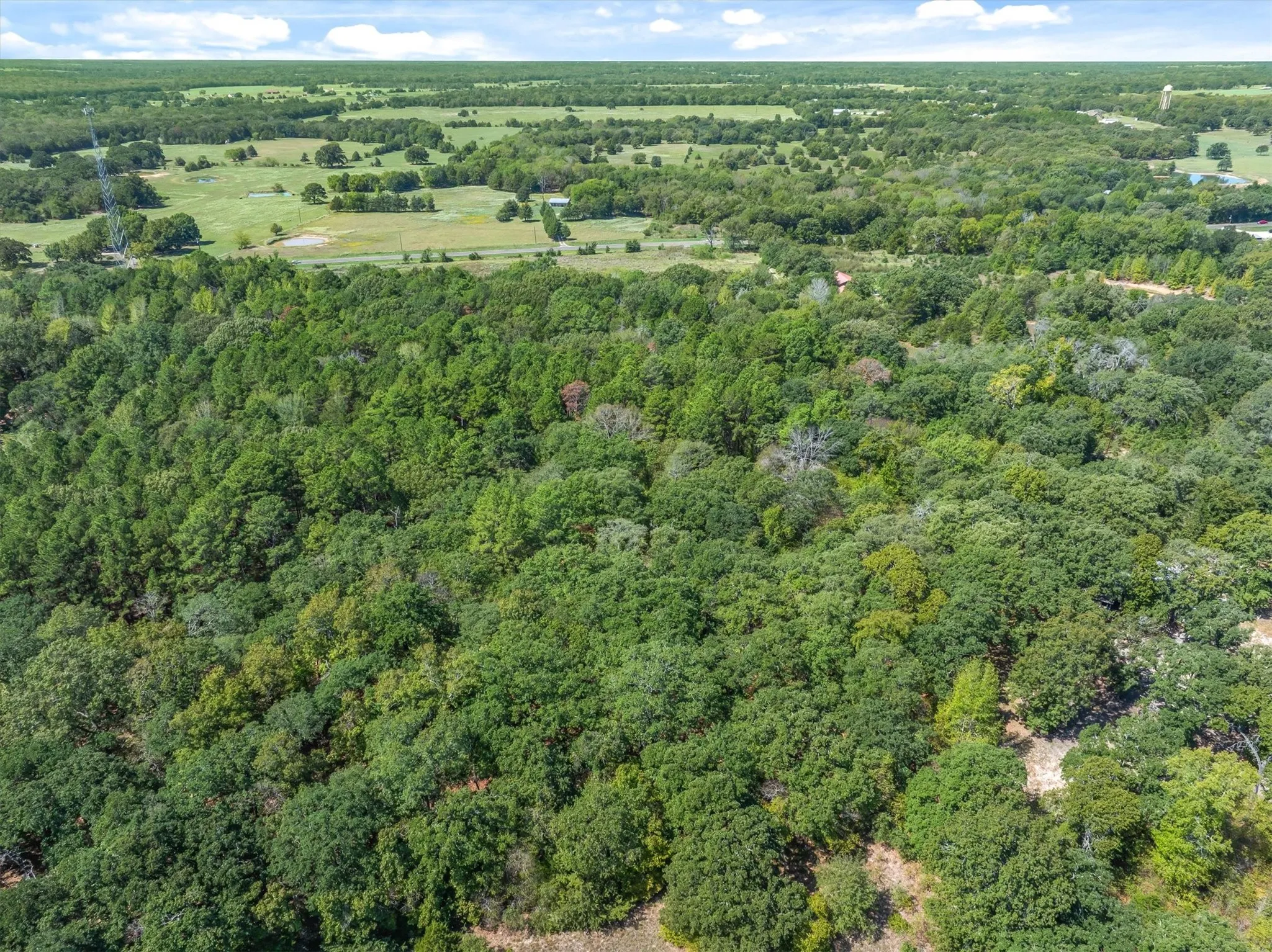 Unimproved Land For Sale in Van Zandt County , TBD County Road 8987, Ben Wheeler, Texas 75754, 0, 0, Garage spaces, 0 Sqft, built in 0, mls#21392229, Real Estate Agent in Ben Wheeler, Homes For Sale in Van Zandt county, Homes For Sale in Ben Wheeler, Realtor in Ben Wheeler Texas, Real Estate Brokerage Independent Realty Texas, Luminita Cordes Realtor