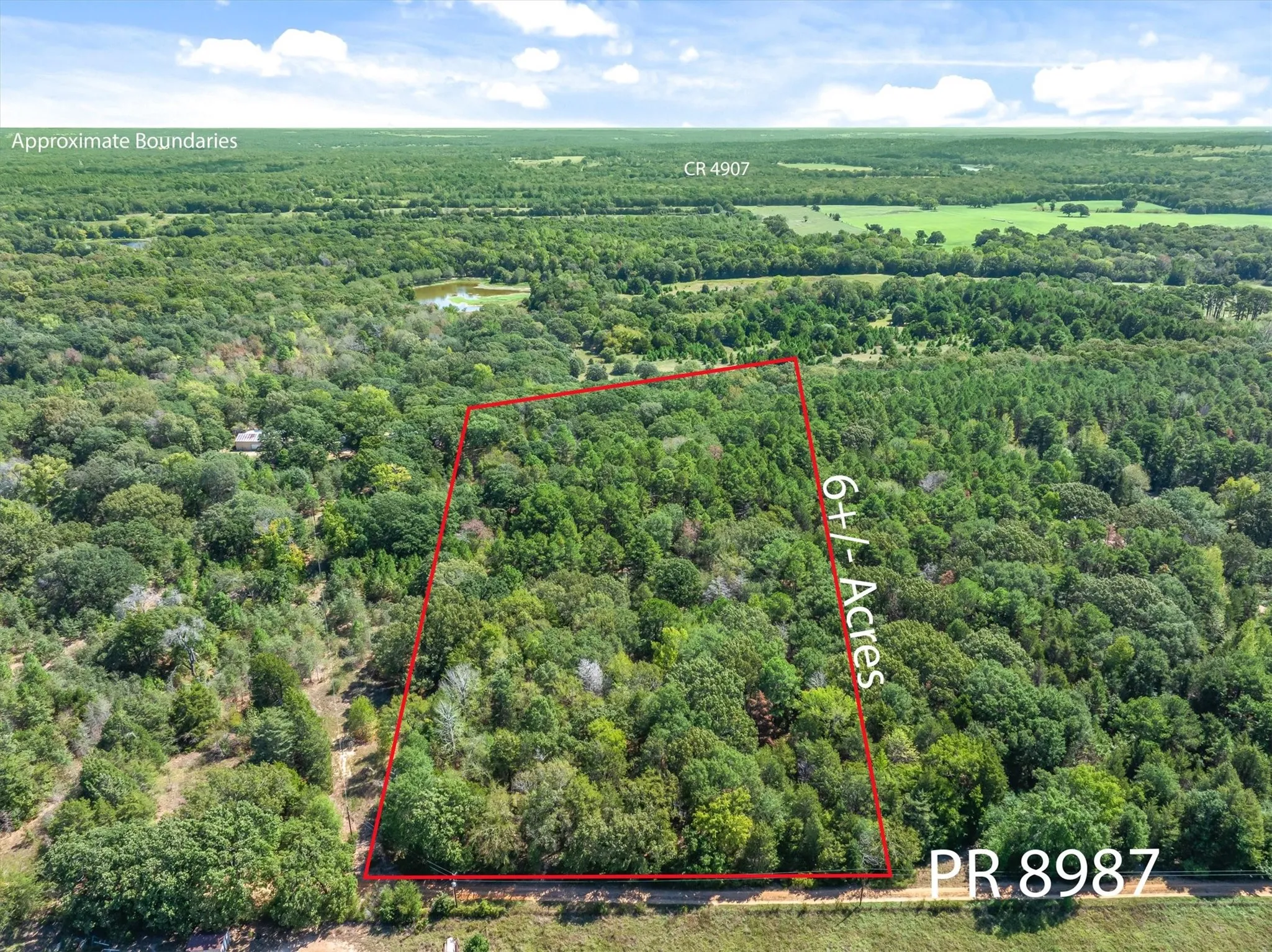 Unimproved Land For Sale in Van Zandt County , TBD County Road 8987, Ben Wheeler, Texas 75754, 0, 0, Garage spaces, 0 Sqft, built in 0, mls#21392229, Real Estate Agent in Ben Wheeler, Homes For Sale in Van Zandt county, Homes For Sale in Ben Wheeler, Realtor in Ben Wheeler Texas, Real Estate Brokerage Independent Realty Texas, Luminita Cordes Realtor