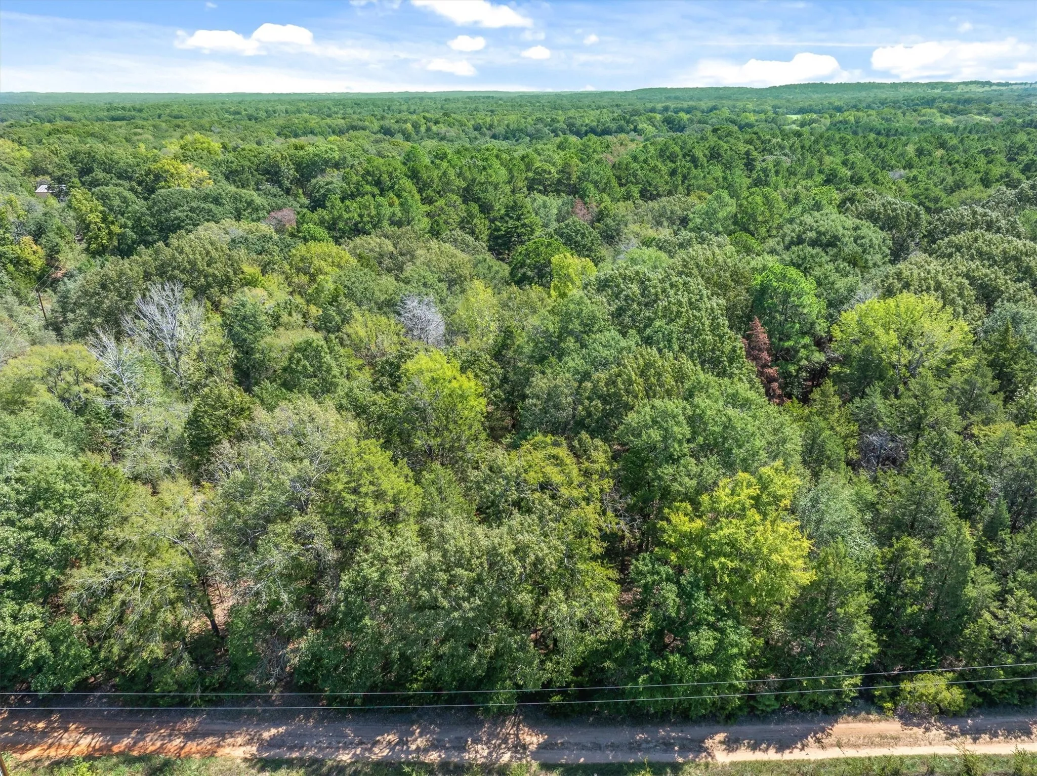 Unimproved Land For Sale in Van Zandt County , TBD County Road 8987, Ben Wheeler, Texas 75754, 0, 0, Garage spaces, 0 Sqft, built in 0, mls#21392229, Real Estate Agent in Ben Wheeler, Homes For Sale in Van Zandt county, Homes For Sale in Ben Wheeler, Realtor in Ben Wheeler Texas, Real Estate Brokerage Independent Realty Texas, Luminita Cordes Realtor