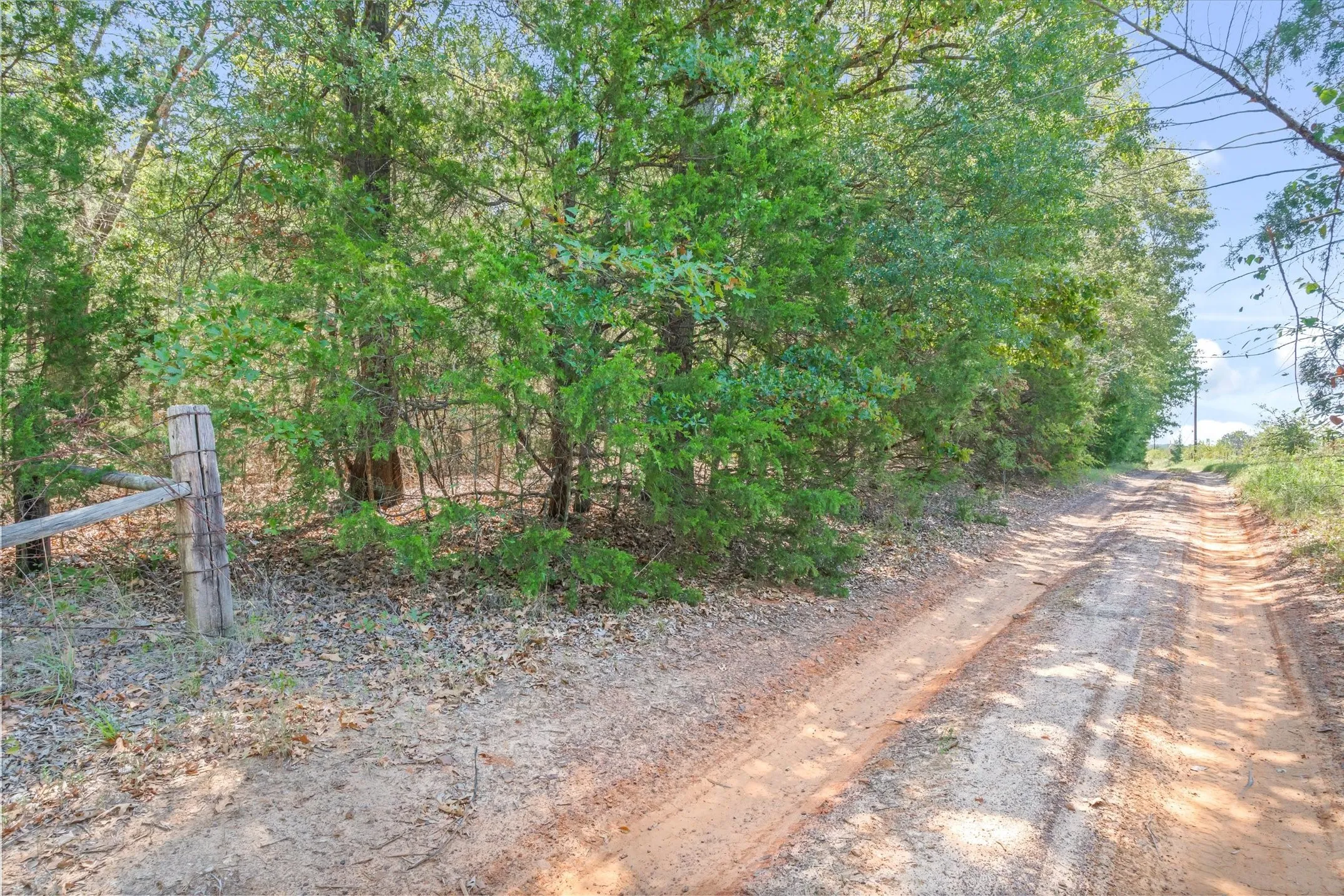 Unimproved Land For Sale in Van Zandt County , TBD County Road 8987, Ben Wheeler, Texas 75754, 0, 0, Garage spaces, 0 Sqft, built in 0, mls#21392229, Real Estate Agent in Ben Wheeler, Homes For Sale in Van Zandt county, Homes For Sale in Ben Wheeler, Realtor in Ben Wheeler Texas, Real Estate Brokerage Independent Realty Texas, Luminita Cordes Realtor