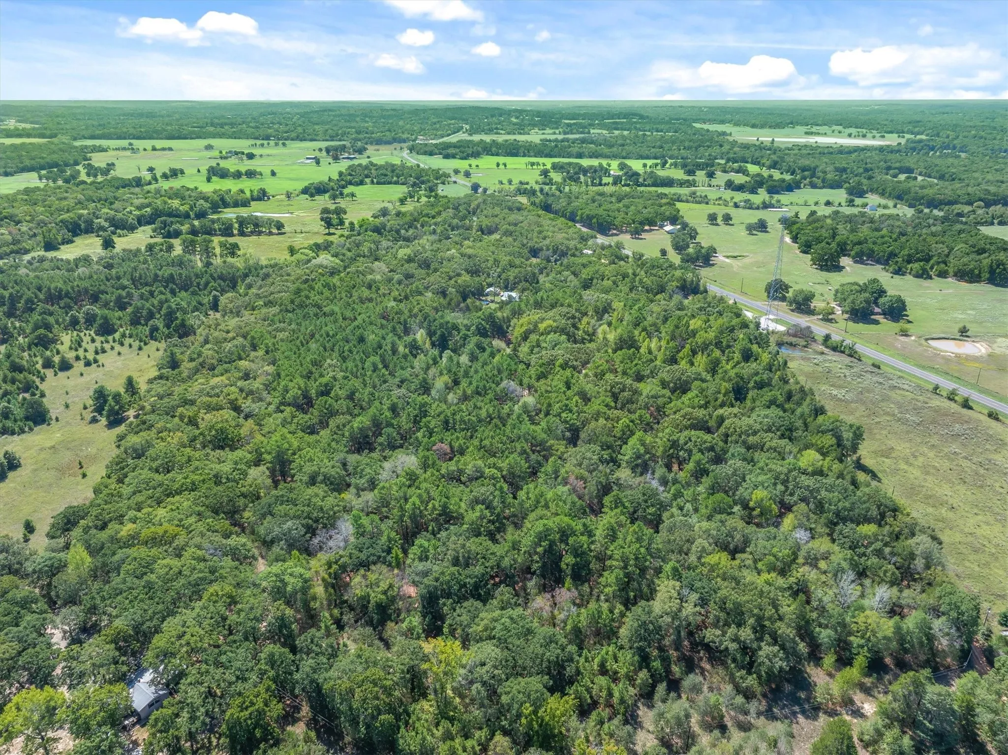Unimproved Land For Sale in Van Zandt County , TBD County Road 8987, Ben Wheeler, Texas 75754, 0, 0, Garage spaces, 0 Sqft, built in 0, mls#21392229, Real Estate Agent in Ben Wheeler, Homes For Sale in Van Zandt county, Homes For Sale in Ben Wheeler, Realtor in Ben Wheeler Texas, Real Estate Brokerage Independent Realty Texas, Luminita Cordes Realtor