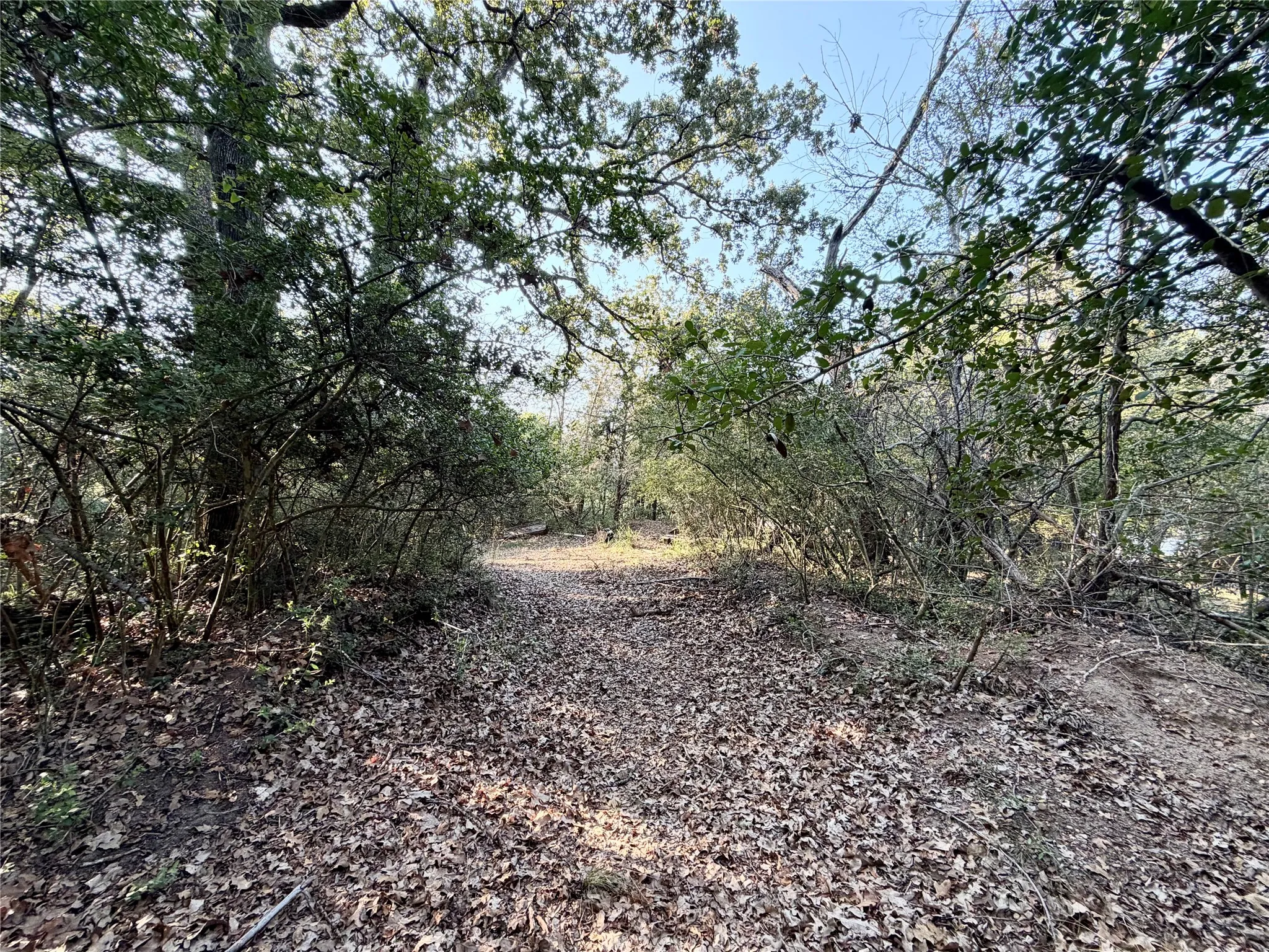 Unimproved Land For Sale in Limestone County , TBD LCR 894, Groesbeck, Texas 76642, 0, 0, Garage spaces, 0 Sqft, built in 0, mls#21393718, Real Estate Agent in Groesbeck, Homes For Sale in Limestone county, Homes For Sale in Groesbeck, Realtor in Groesbeck Texas, Real Estate Brokerage Independent Realty Texas, Luminita Cordes Realtor