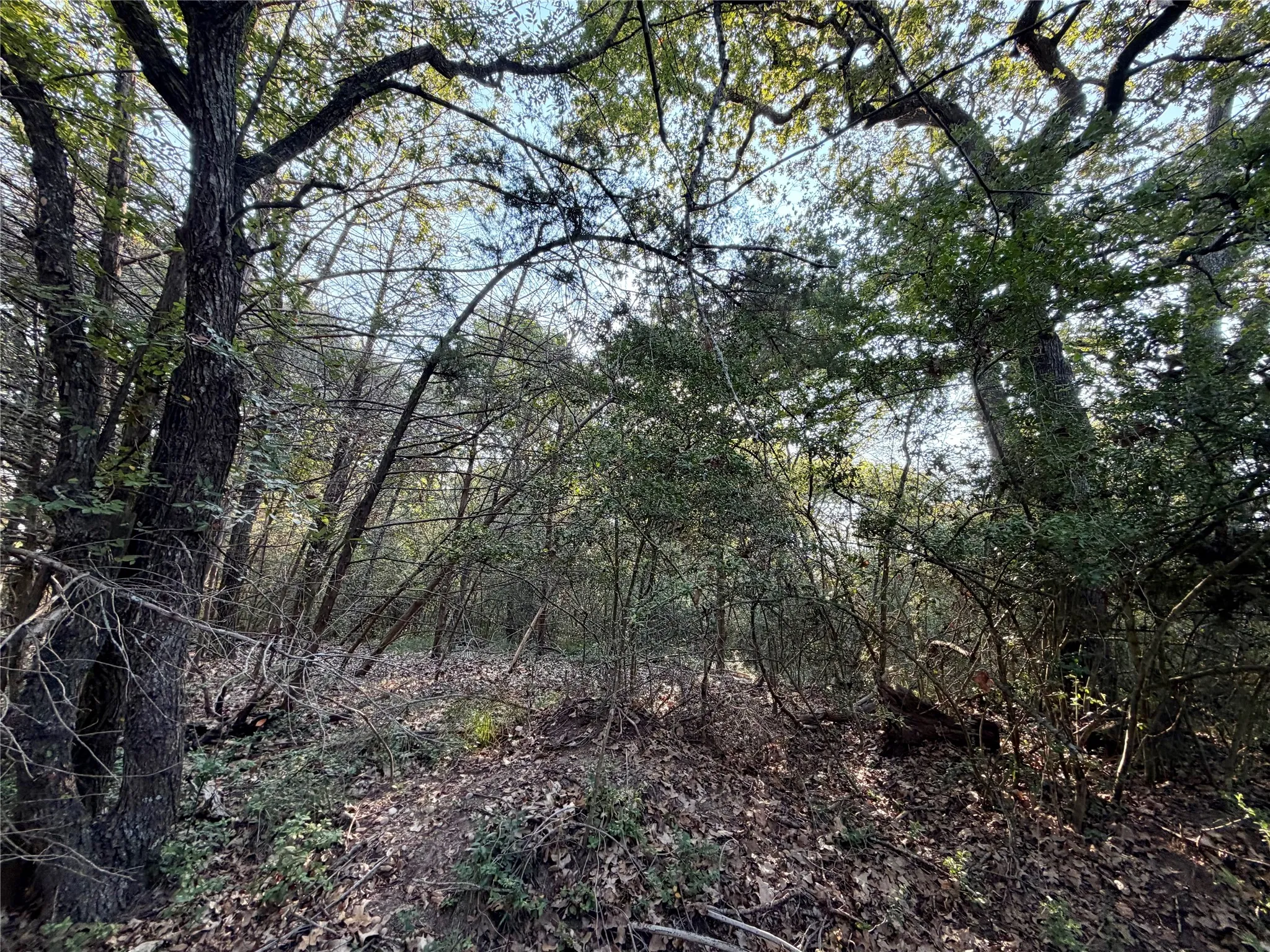 Unimproved Land For Sale in Limestone County , TBD LCR 894, Groesbeck, Texas 76642, 0, 0, Garage spaces, 0 Sqft, built in 0, mls#21393718, Real Estate Agent in Groesbeck, Homes For Sale in Limestone county, Homes For Sale in Groesbeck, Realtor in Groesbeck Texas, Real Estate Brokerage Independent Realty Texas, Luminita Cordes Realtor