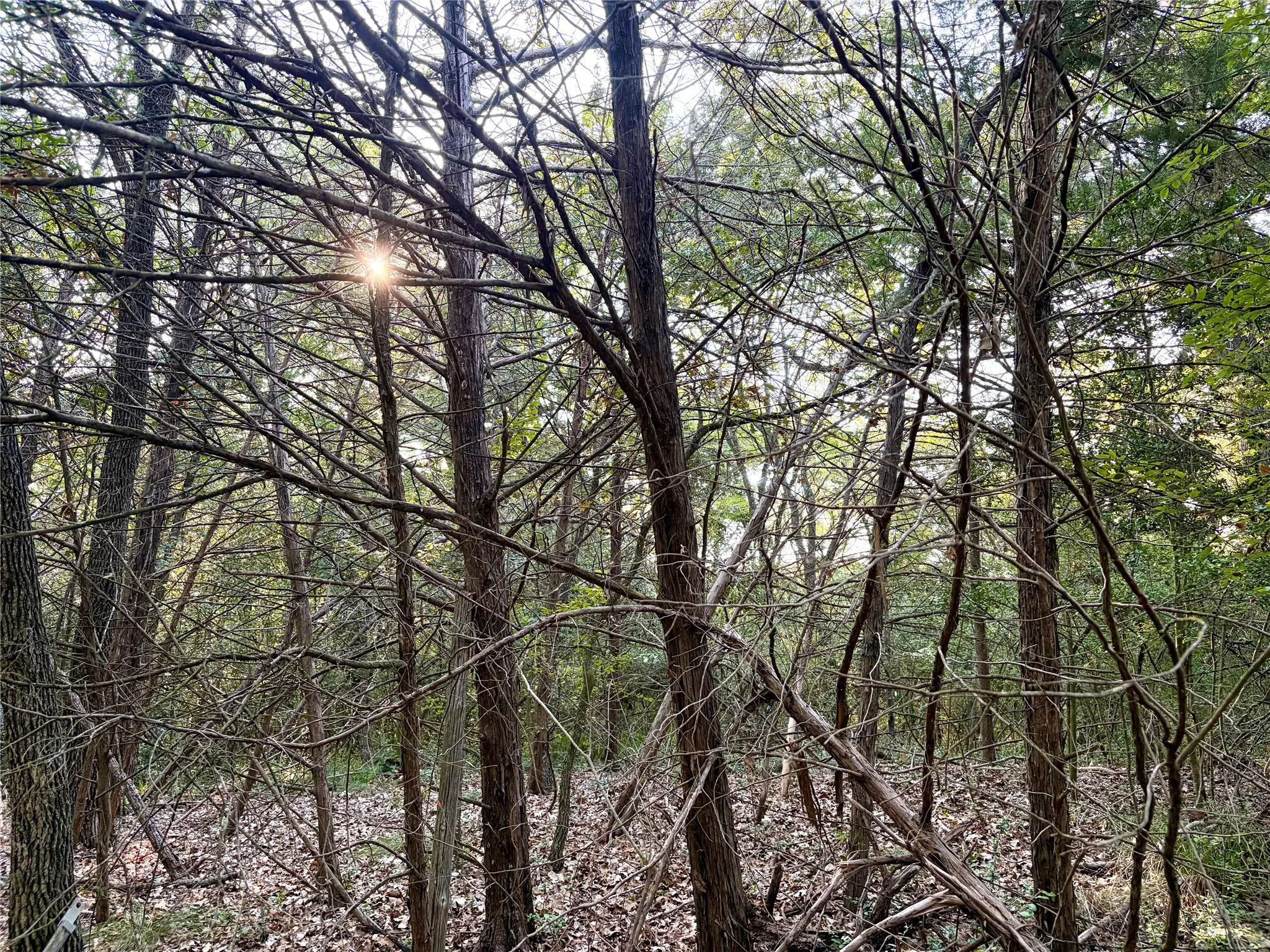 Unimproved Land For Sale in Limestone County , TBD LCR 894, Groesbeck, Texas 76642, 0, 0, Garage spaces, 0 Sqft, built in 0, mls#21393718, Real Estate Agent in Groesbeck, Homes For Sale in Limestone county, Homes For Sale in Groesbeck, Realtor in Groesbeck Texas, Real Estate Brokerage Independent Realty Texas, Luminita Cordes Realtor