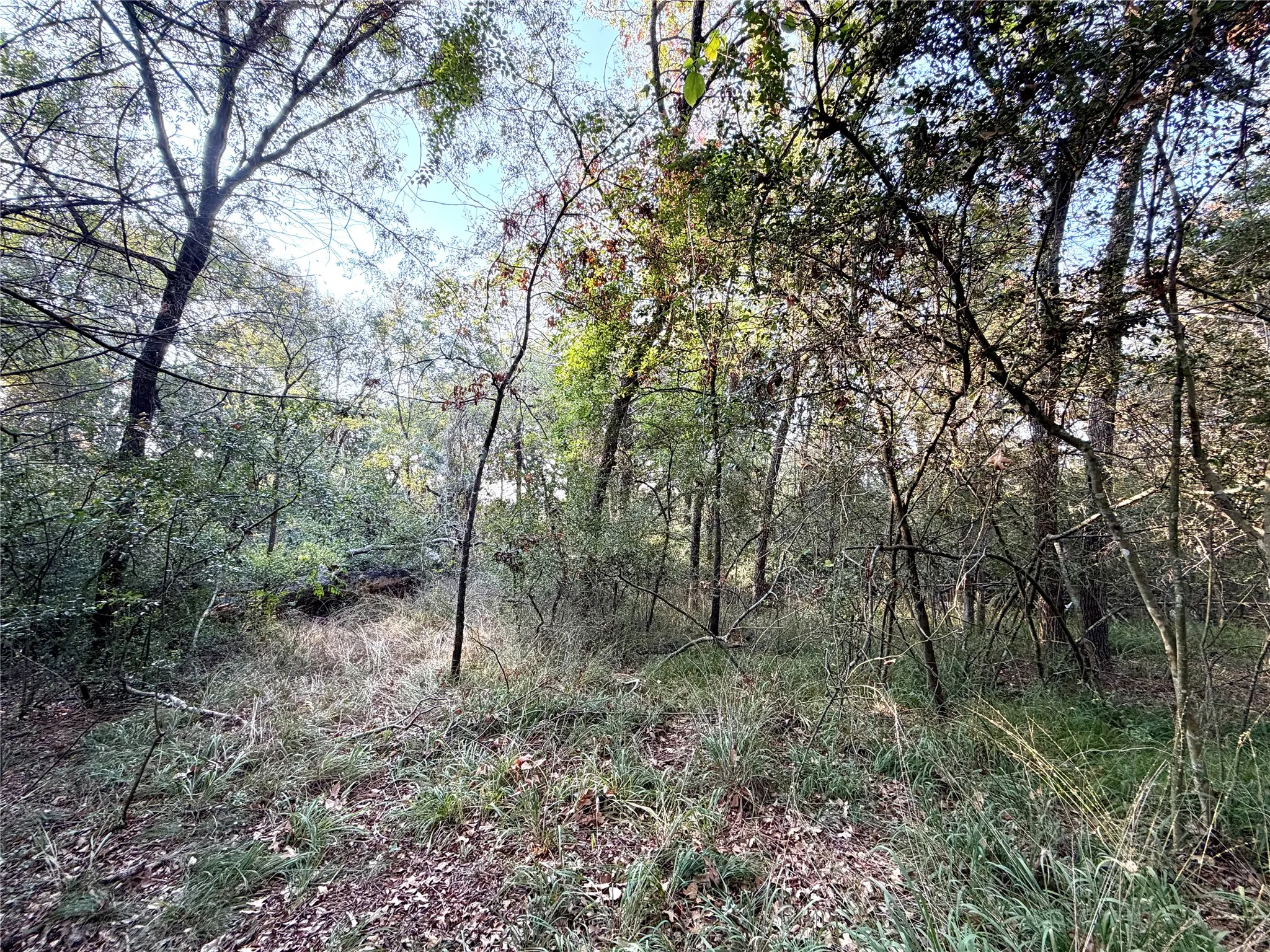 Unimproved Land For Sale in Limestone County , TBD LCR 894, Groesbeck, Texas 76642, 0, 0, Garage spaces, 0 Sqft, built in 0, mls#21393718, Real Estate Agent in Groesbeck, Homes For Sale in Limestone county, Homes For Sale in Groesbeck, Realtor in Groesbeck Texas, Real Estate Brokerage Independent Realty Texas, Luminita Cordes Realtor