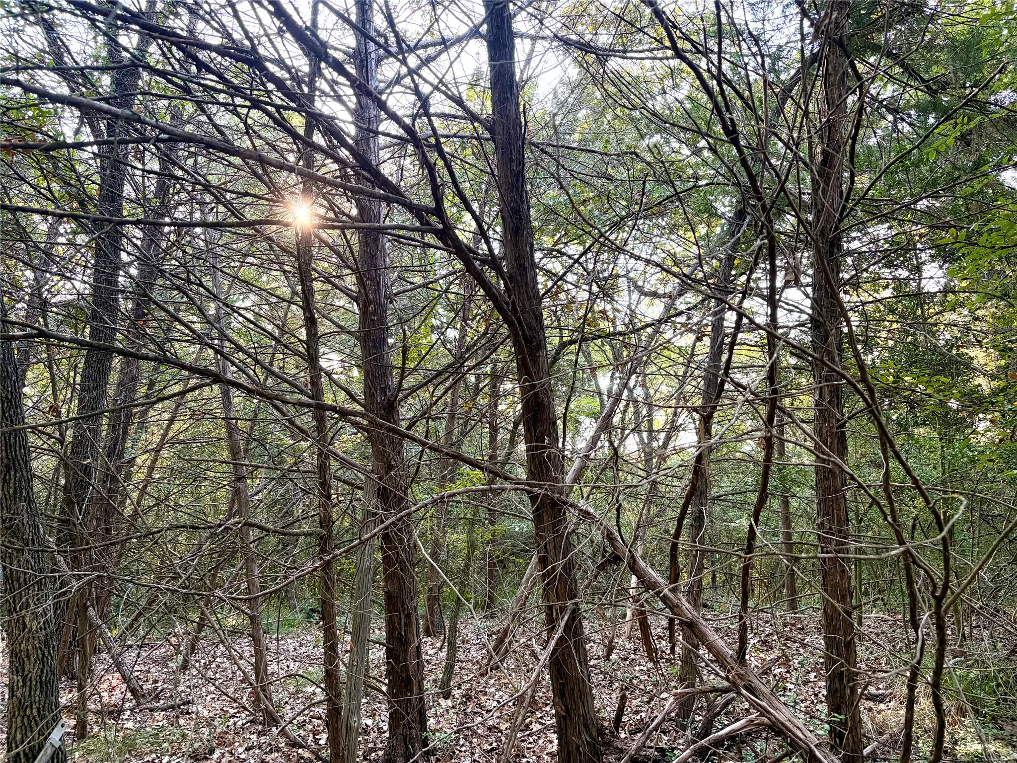 Unimproved Land For Sale in Limestone County , TBD LCR 894, Groesbeck, Texas 76642, 0, 0, Garage spaces, 0 Sqft, built in 0, mls#21393718, Real Estate Agent in Groesbeck, Homes For Sale in Limestone county, Homes For Sale in Groesbeck, Realtor in Groesbeck Texas, Real Estate Brokerage Independent Realty Texas, Luminita Cordes Realtor