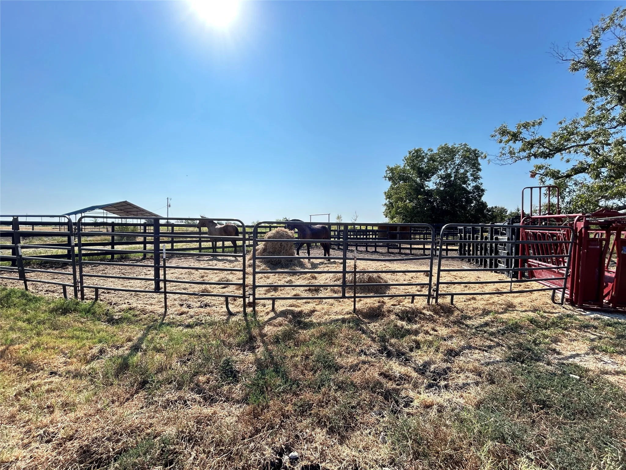 Ranch For Sale in Hunt County , 7580 County Road 4807, Ladonia, Texas 75449, 0, 0, Garage spaces, 0 Sqft, built in 0, mls#21394033, Real Estate Agent in Ladonia, Homes For Sale in Hunt county, Homes For Sale in Ladonia, Realtor in Ladonia Texas, Real Estate Brokerage Independent Realty Texas, Luminita Cordes Realtor