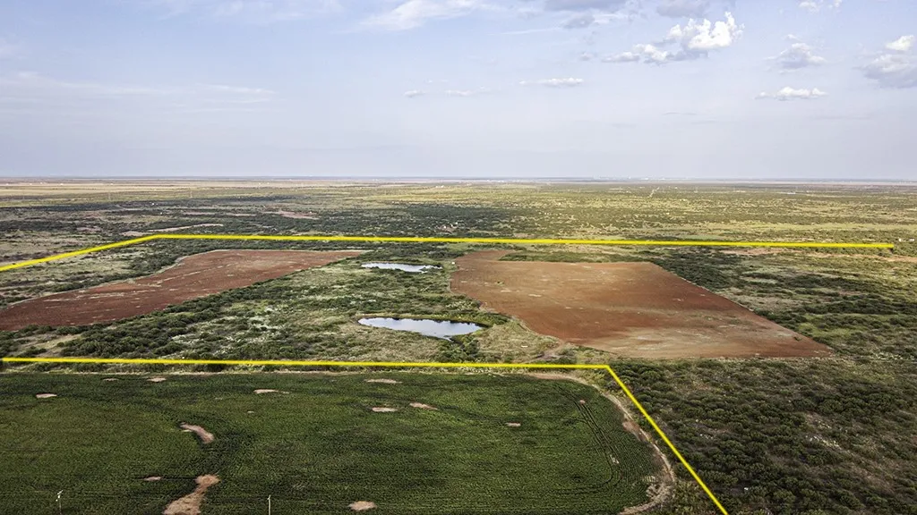 Ranch For Sale in Wichita County , TBD State Highway 25 S, Electra, Texas 76360, 0, 0, Garage spaces, 0 Sqft, built in 0, mls#21394342, Real Estate Agent in Electra, Homes For Sale in Wichita county, Homes For Sale in Electra, Realtor in Electra Texas, Real Estate Brokerage Independent Realty Texas, Luminita Cordes Realtor