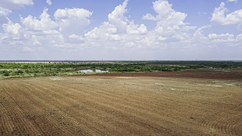 Cultivation tract ground level