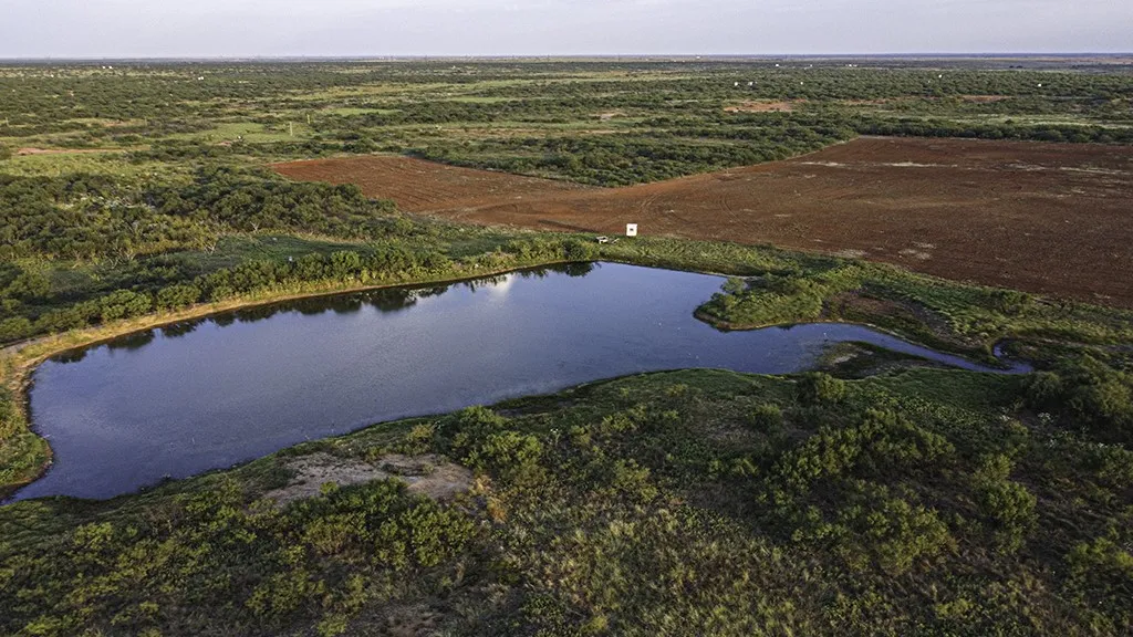Pond 1