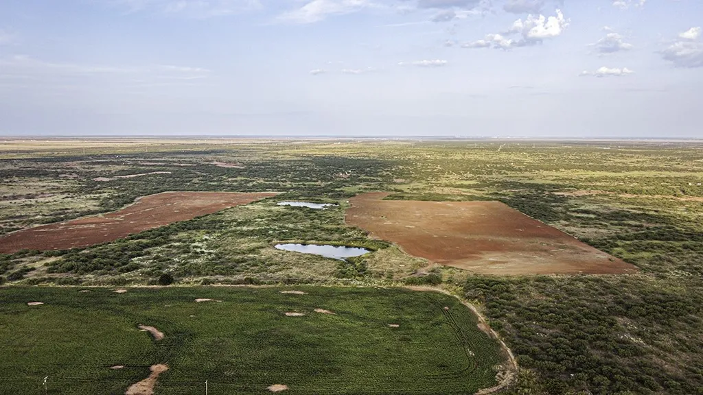 Ranch For Sale in Wichita County , TBD State Highway 25 S, Electra, Texas 76360, 0, 0, Garage spaces, 0 Sqft, built in 0, mls#21394342, Real Estate Agent in Electra, Homes For Sale in Wichita county, Homes For Sale in Electra, Realtor in Electra Texas, Real Estate Brokerage Independent Realty Texas, Luminita Cordes Realtor