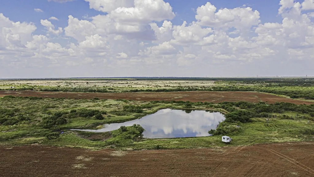 Pond 2